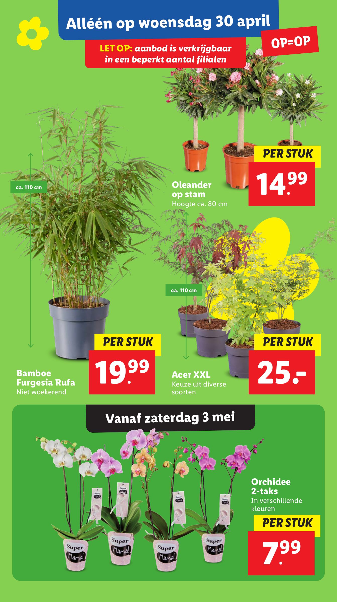 lidl - Lidl folder geldig vanaf 28-04 t/m 04-05 - page: 33 lidl - Lidl folder geldig vanaf 28-04 t/m 04-05 - page: 33