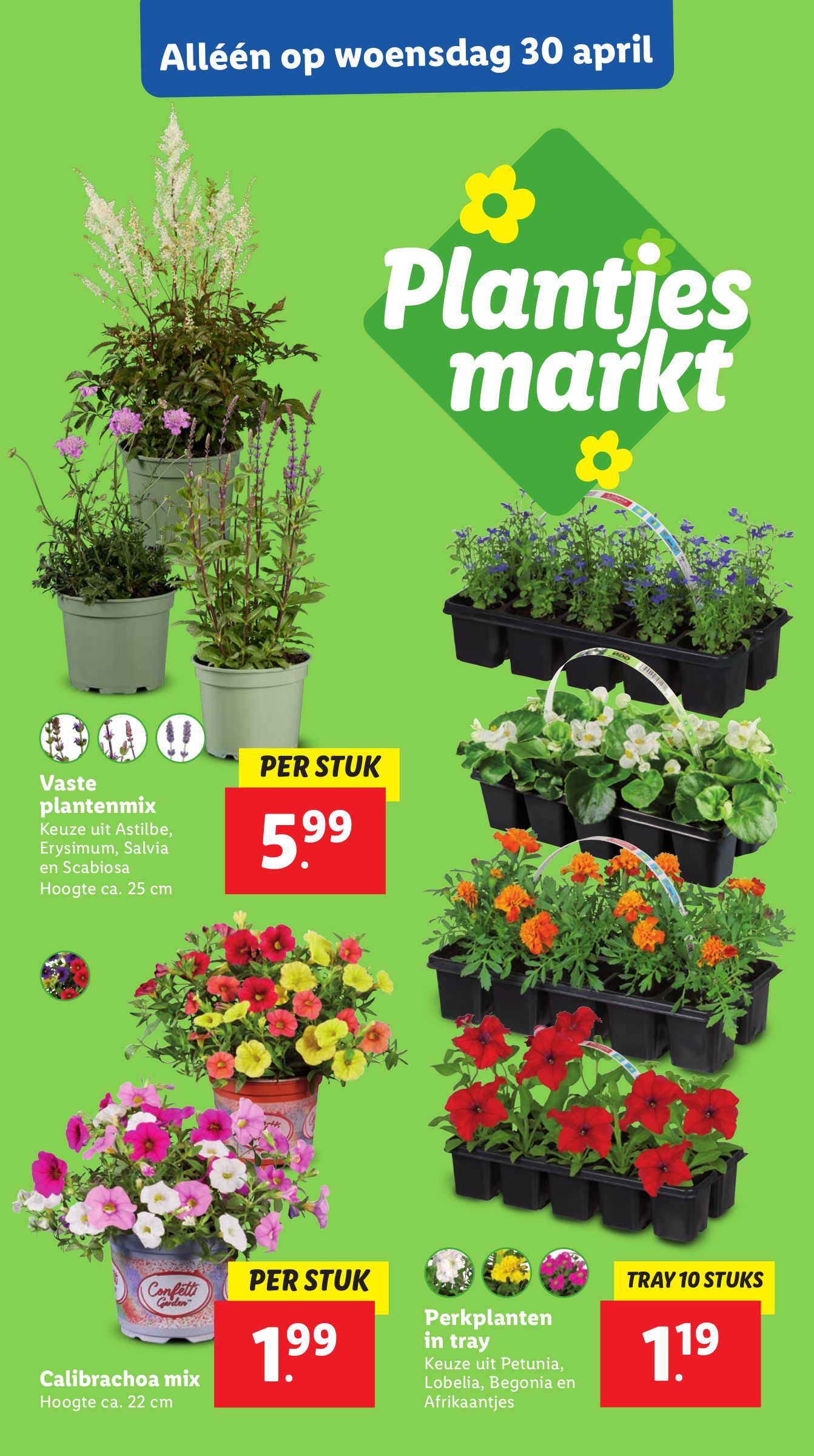lidl - Lidl folder geldig vanaf 28-04 t/m 04-05 - page: 28 lidl - Lidl folder geldig vanaf 28-04 t/m 04-05 - page: 28
