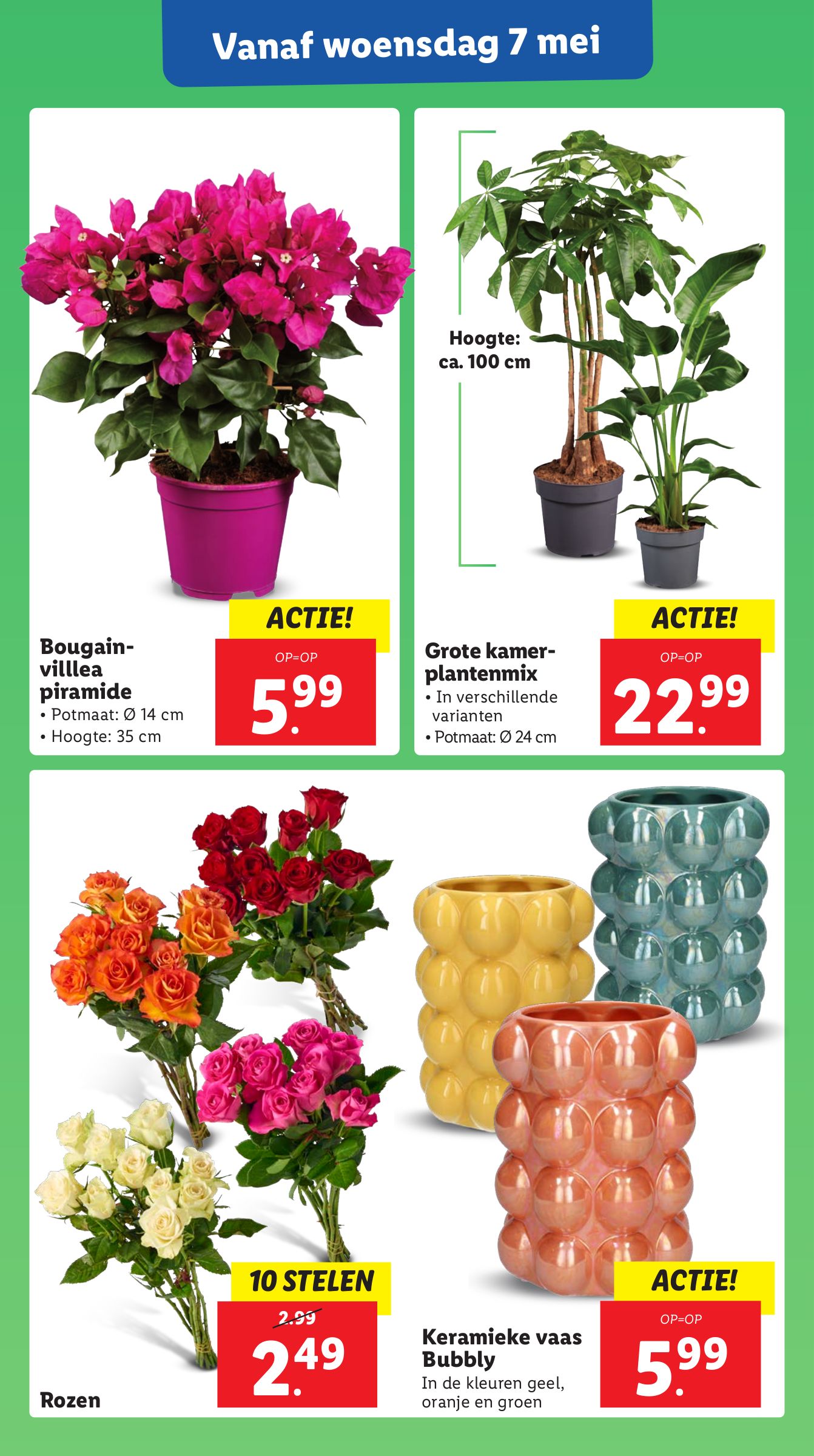 lidl - Lidl folder geldig vanaf 05-05 t/m 11-05 - page: 34 lidl - Lidl folder geldig vanaf 05-05 t/m 11-05 - page: 34