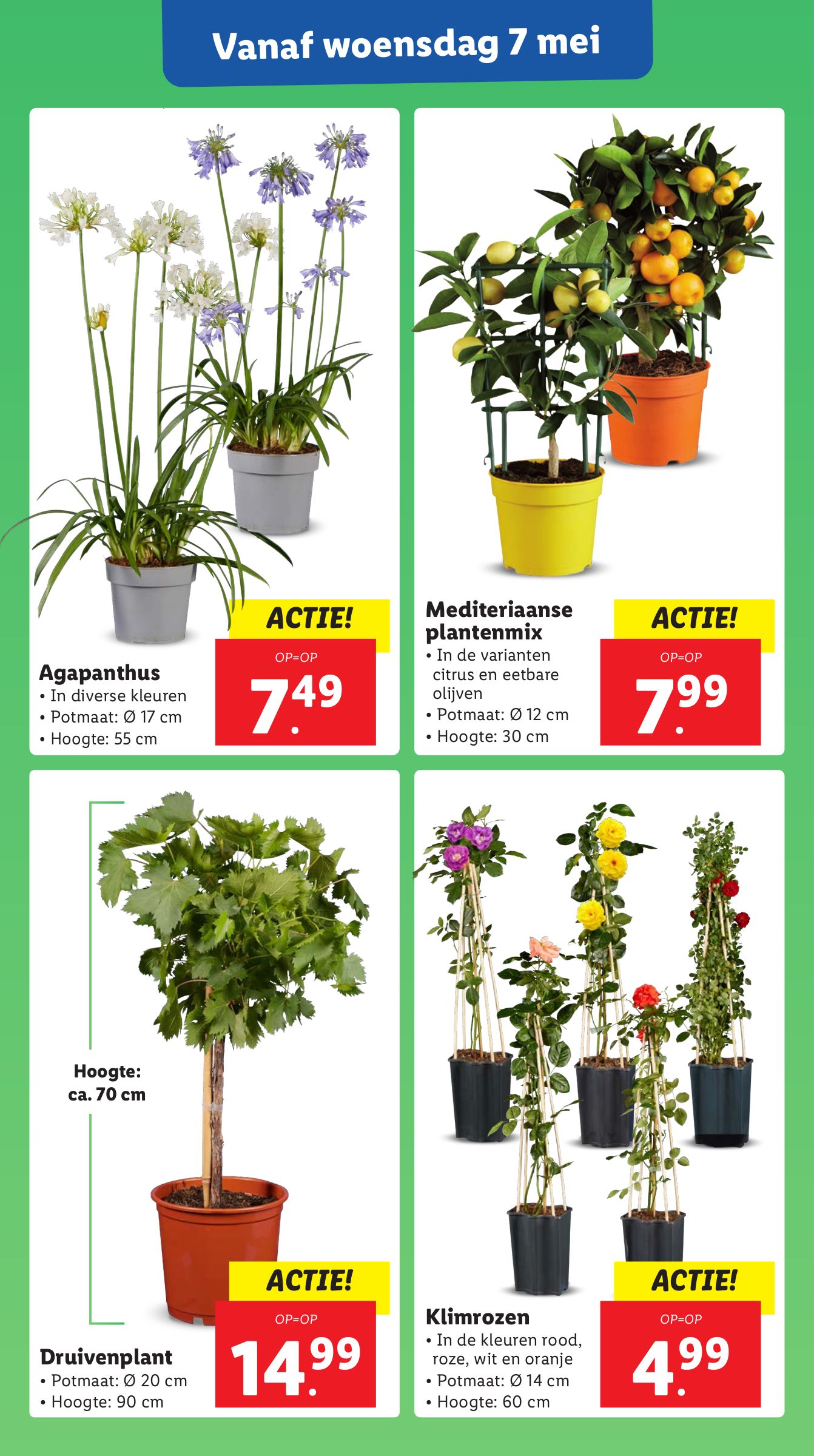 lidl - Lidl folder geldig vanaf 05-05 t/m 11-05 - page: 33 lidl - Lidl folder geldig vanaf 05-05 t/m 11-05 - page: 33