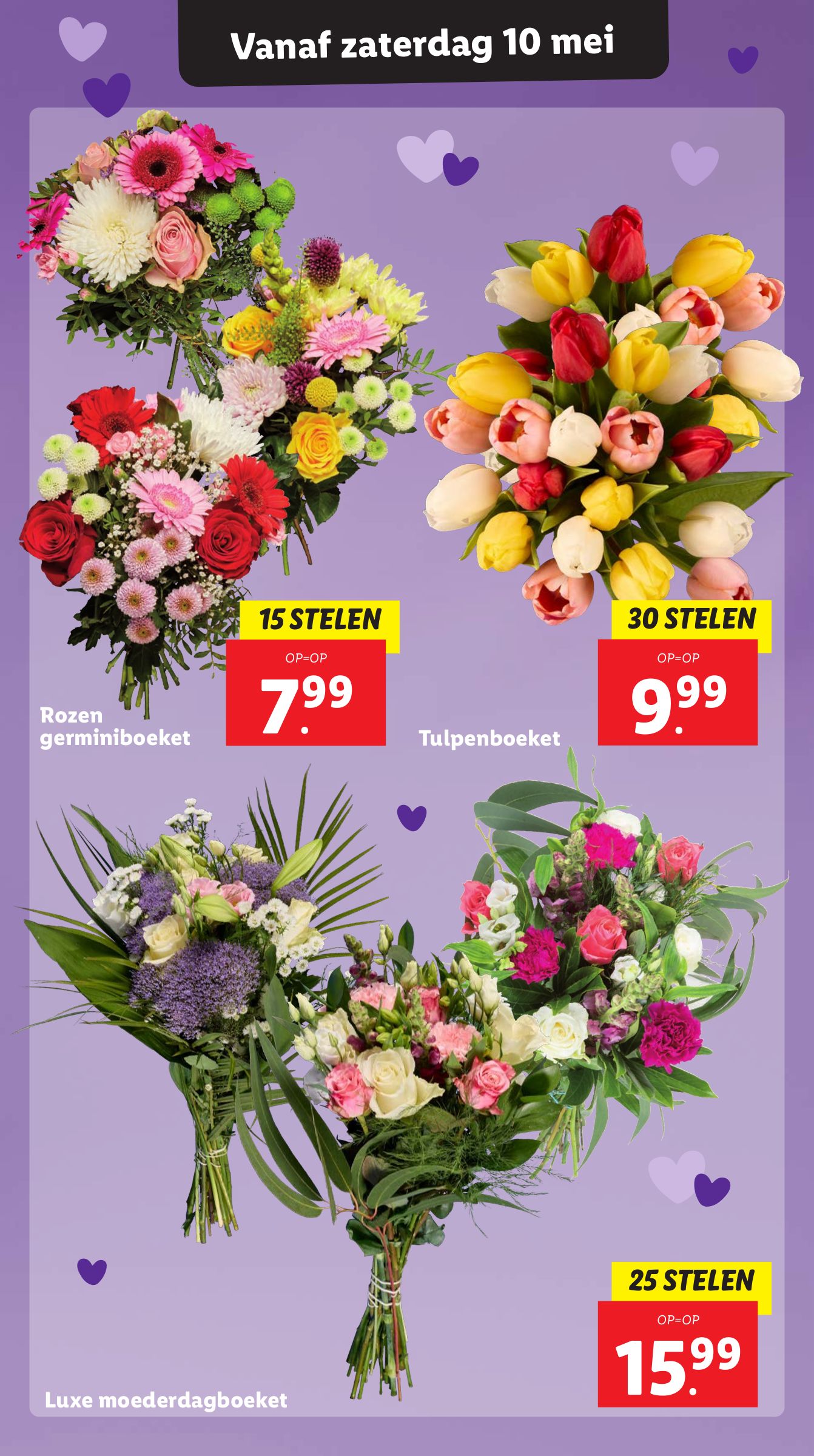 lidl - Lidl folder geldig vanaf 05-05 t/m 11-05 - page: 36 lidl - Lidl folder geldig vanaf 05-05 t/m 11-05 - page: 36