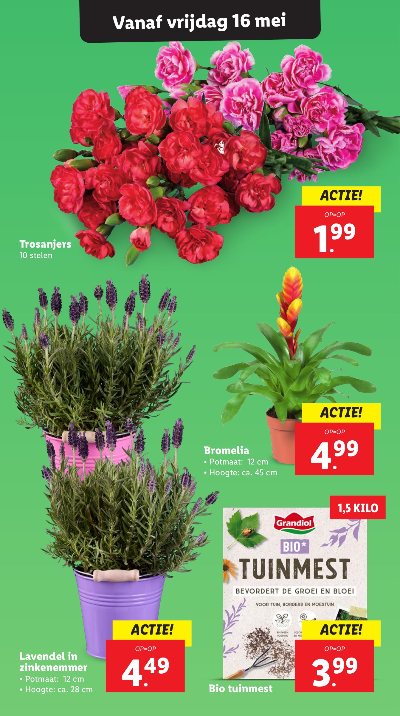 lidl - Lidl folder geldig vanaf 12-05 t/m 18-05 - page: 19 lidl - Lidl folder geldig vanaf 12-05 t/m 18-05 - page: 19