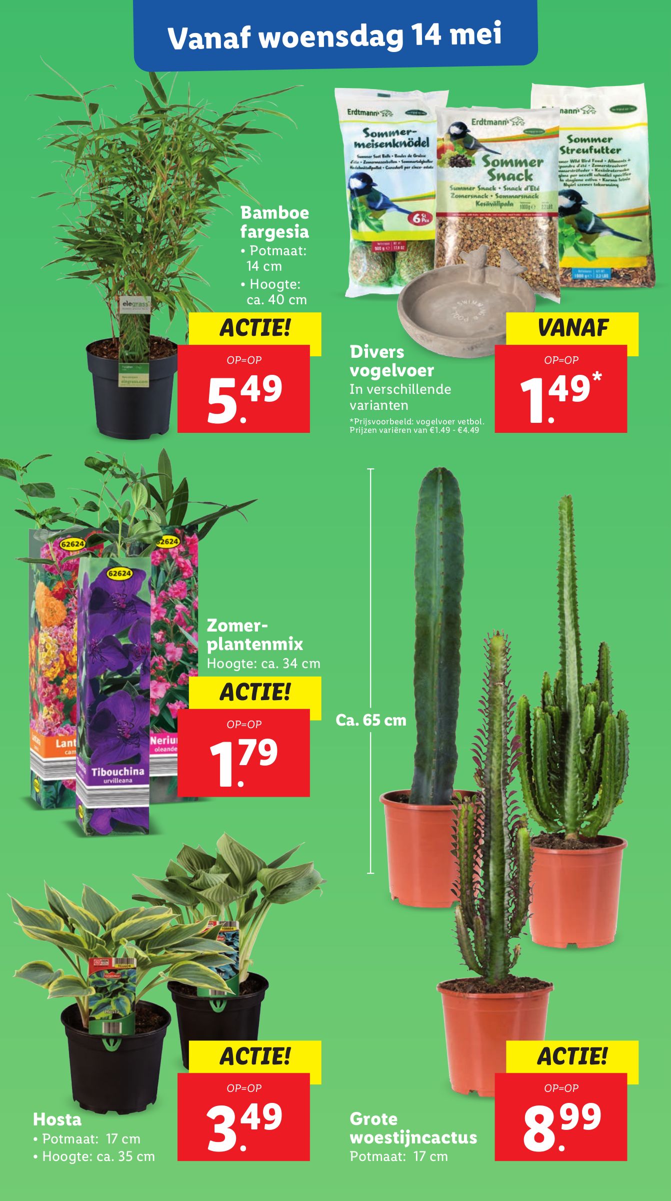 lidl - Lidl folder geldig vanaf 12-05 t/m 18-05 - page: 18 lidl - Lidl folder geldig vanaf 12-05 t/m 18-05 - page: 18