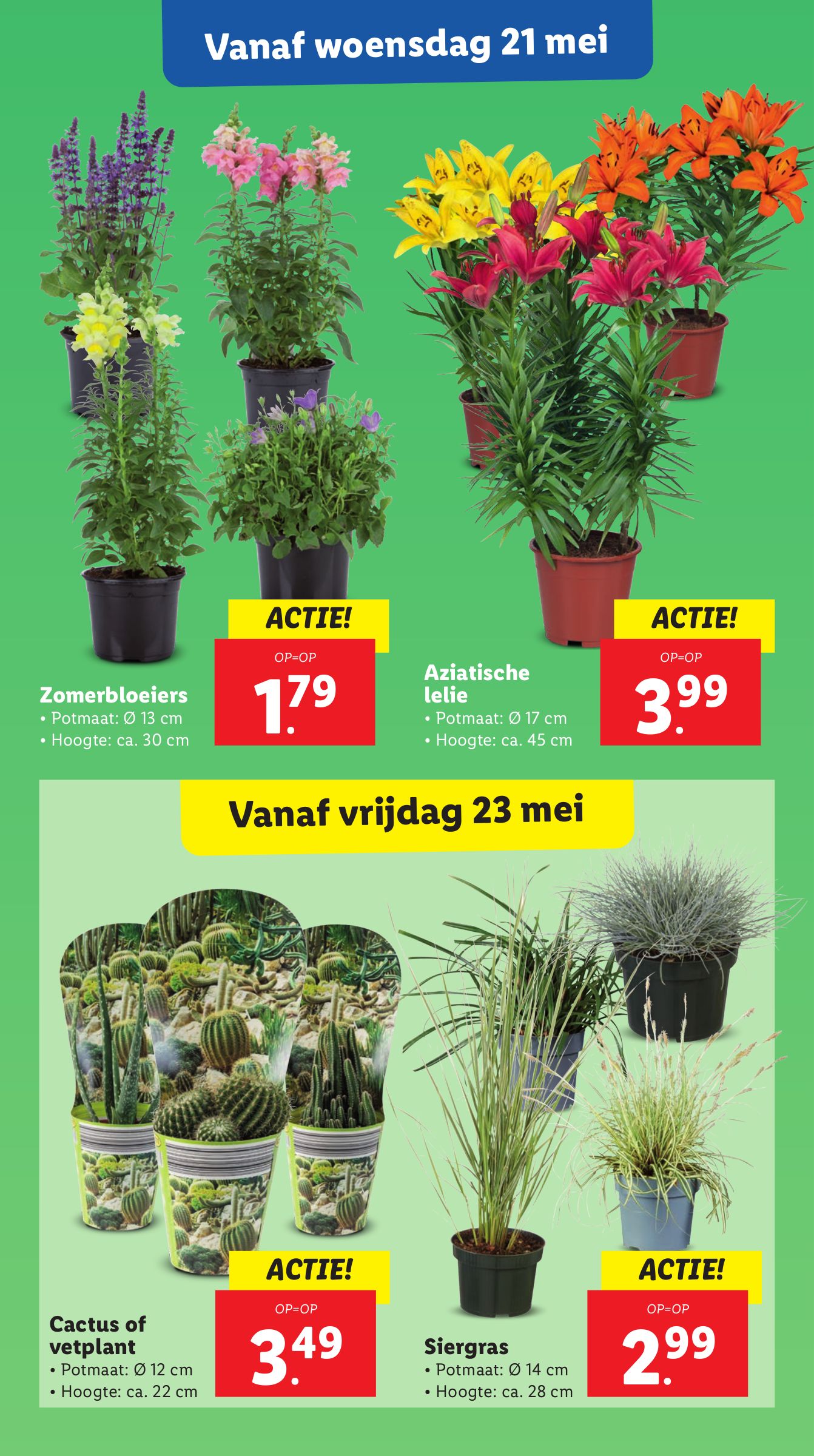lidl - Lidl folder geldig vanaf 19-05 t/m 25-05 - page: 19 lidl - Lidl folder geldig vanaf 19-05 t/m 25-05 - page: 19