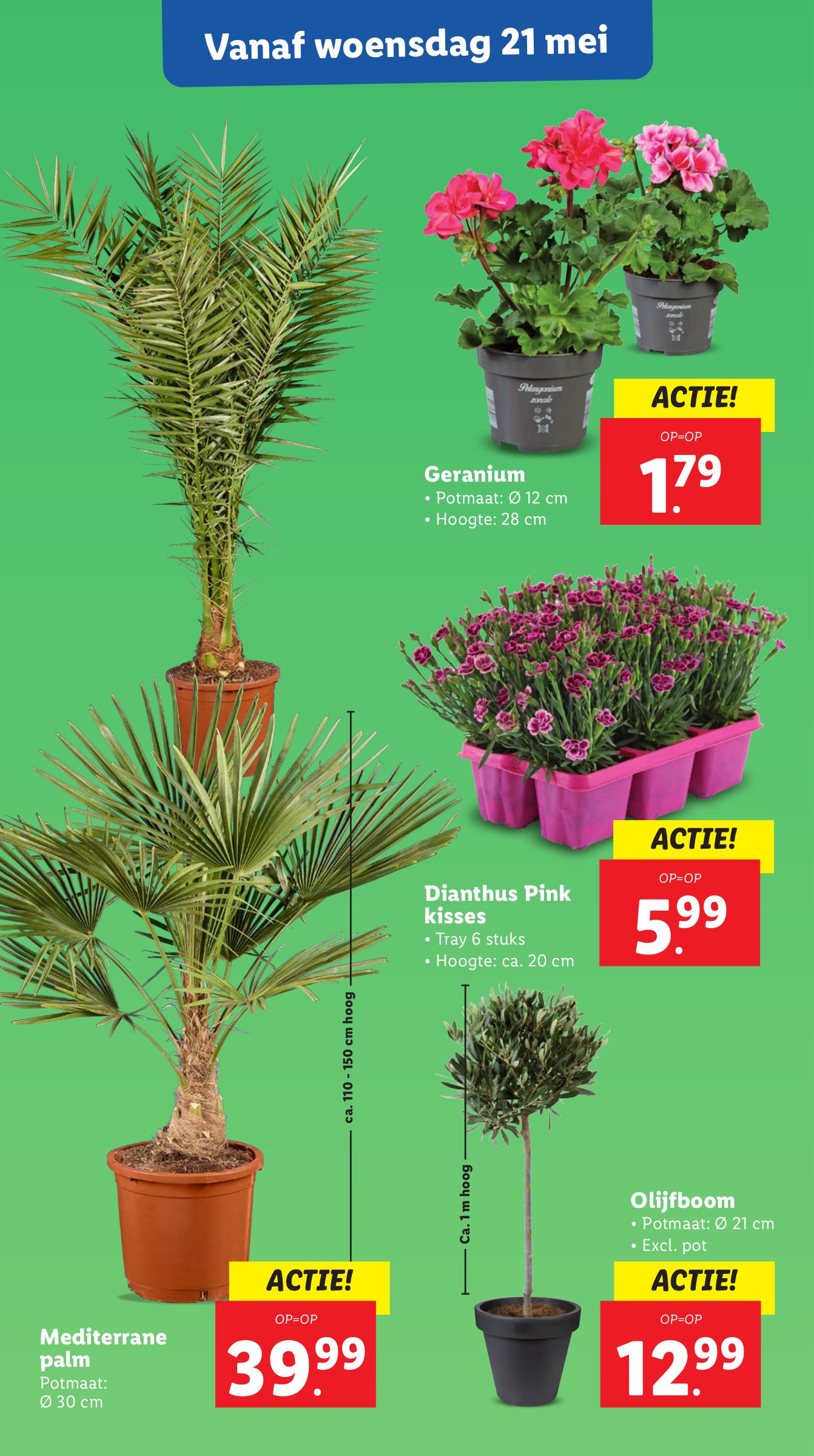 lidl - Lidl folder geldig vanaf 19-05 t/m 25-05 - page: 18 lidl - Lidl folder geldig vanaf 19-05 t/m 25-05 - page: 18