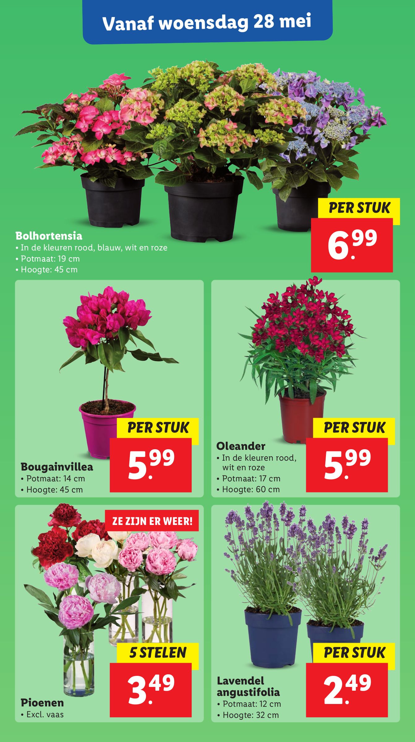 lidl - Lidl - Non Food folder geldig vanaf 28-05 t/m 31-05 - page: 21