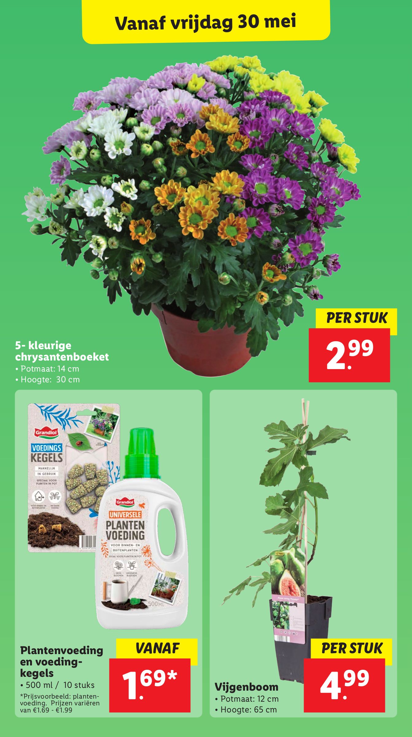 lidl - Lidl folder geldig vanaf 26-05 t/m 01-06 - page: 51 lidl - Lidl folder geldig vanaf 26-05 t/m 01-06 - page: 51