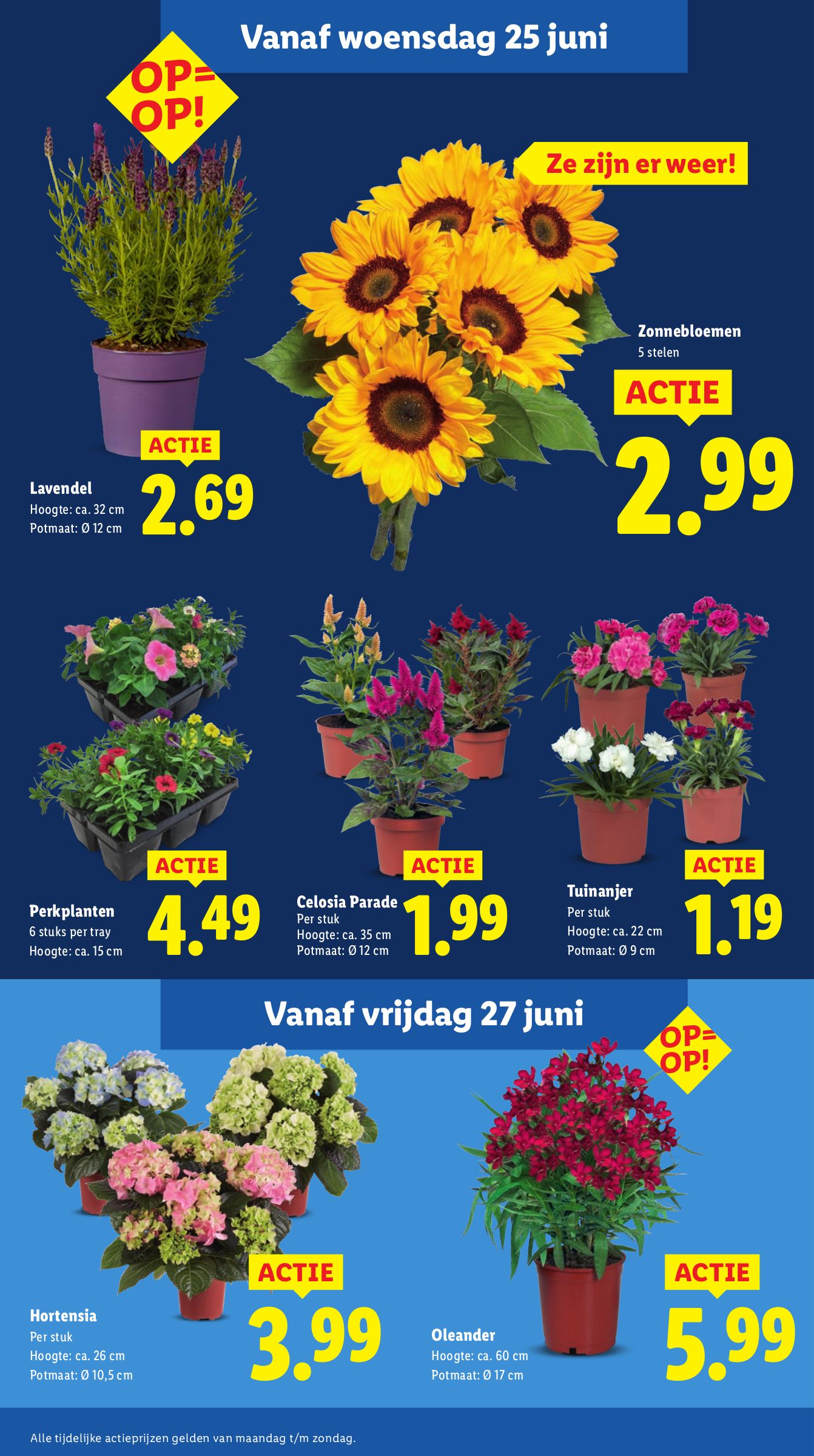 lidl - Lidl folder geldig vanaf 23-06 t/m 29-06 - page: 12 lidl - Lidl folder geldig vanaf 23-06 t/m 29-06 - page: 12