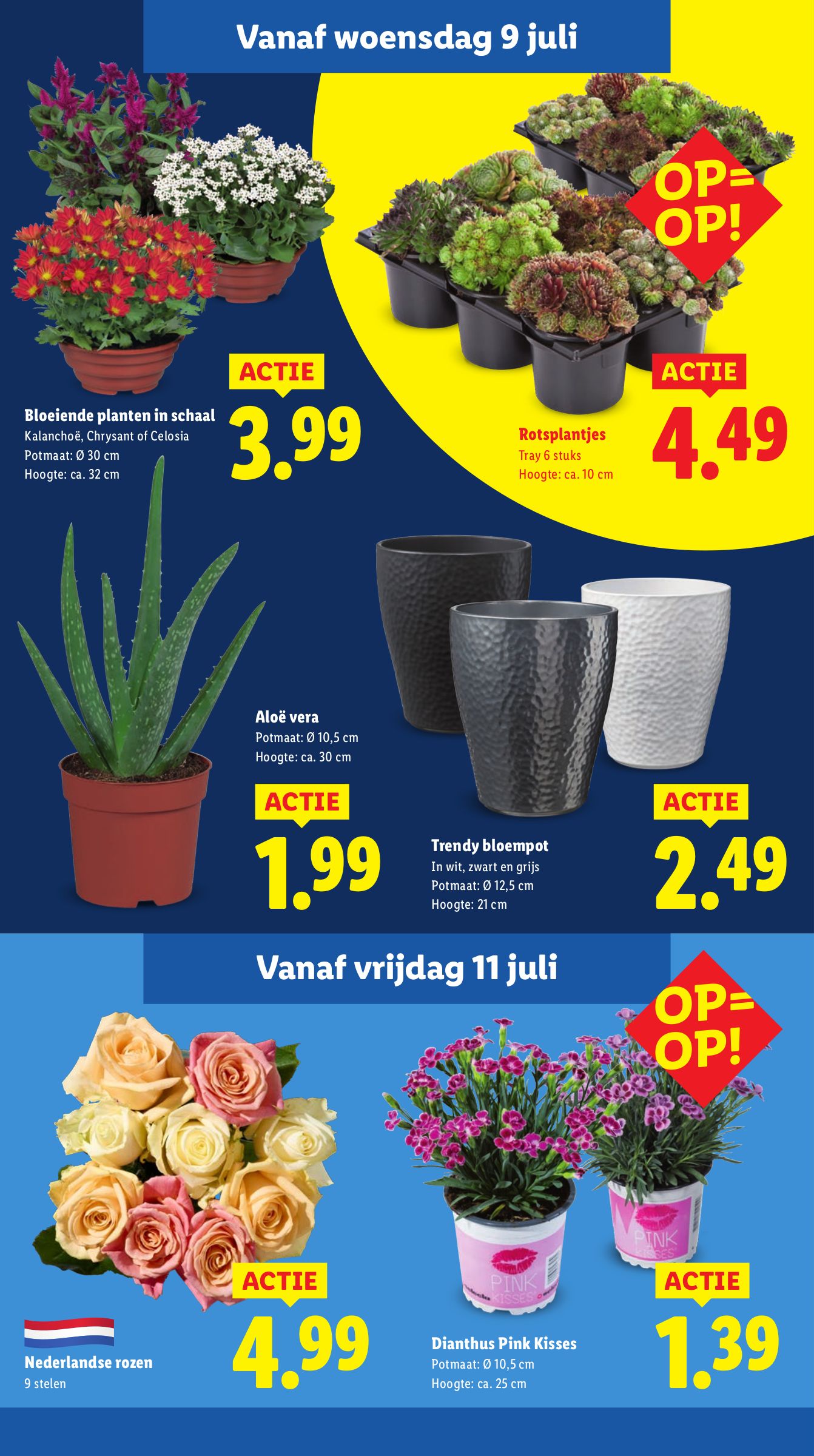 lidl - Lidl folder geldig vanaf 07-07 t/m 13-07 - page: 12