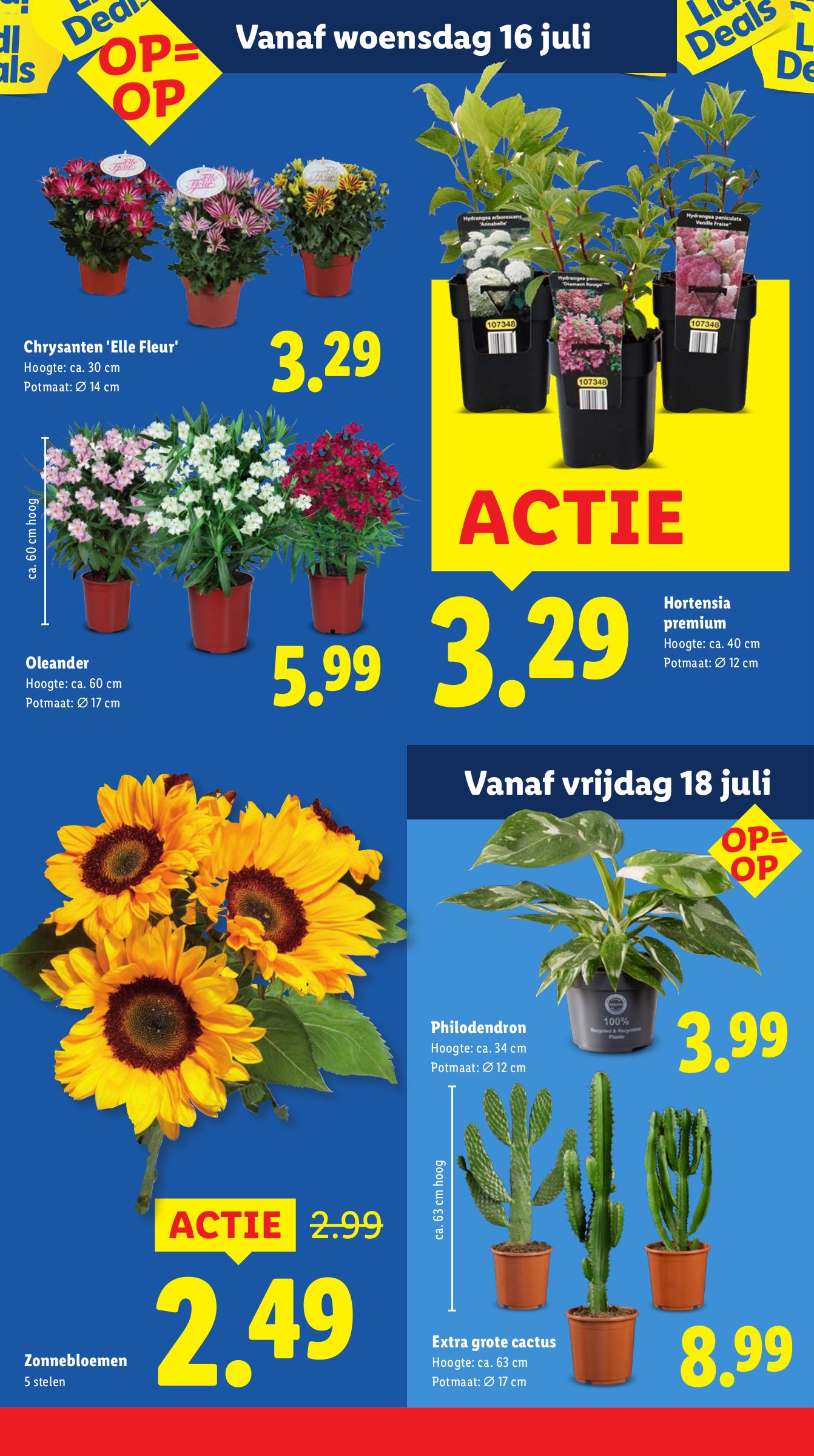 lidl - Lidl folder geldig vanaf 14-07 t/m 20-07 - page: 15