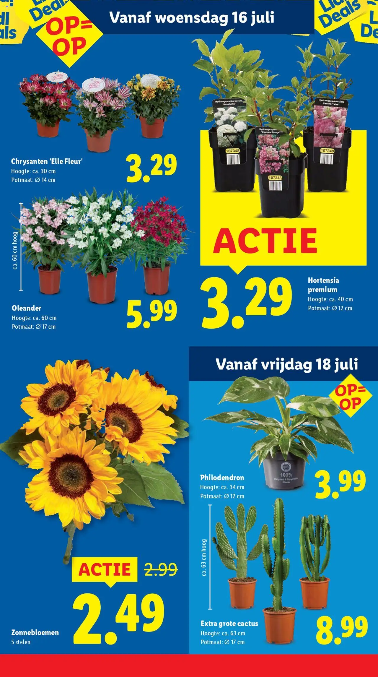 lidl - Lidl folder vanaf 14-07-2025 - 20-07-2025 - page: 16