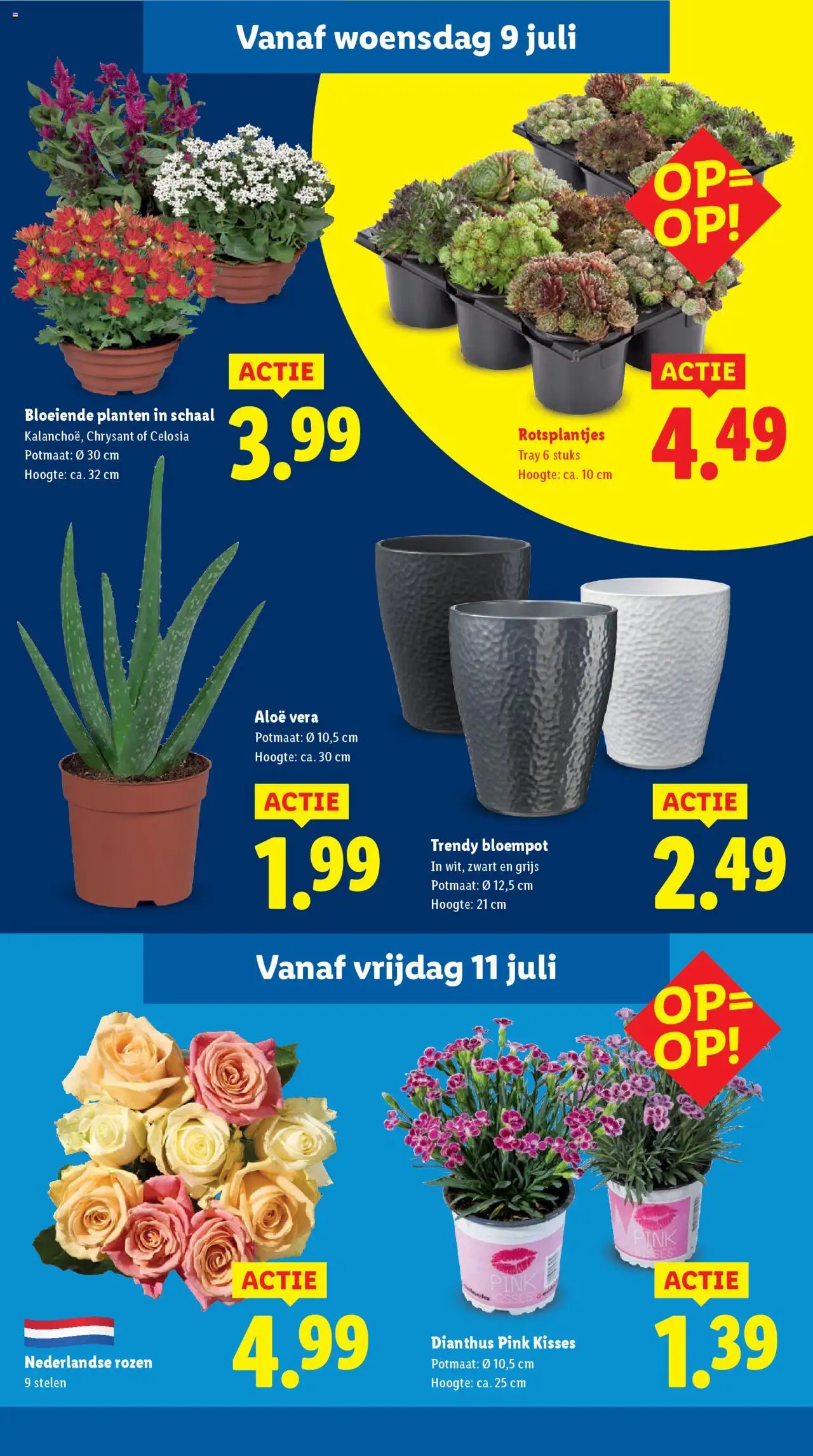 lidl - Lidl folder vanaf 07-07-2025 - 13-07-2025 - page: 13