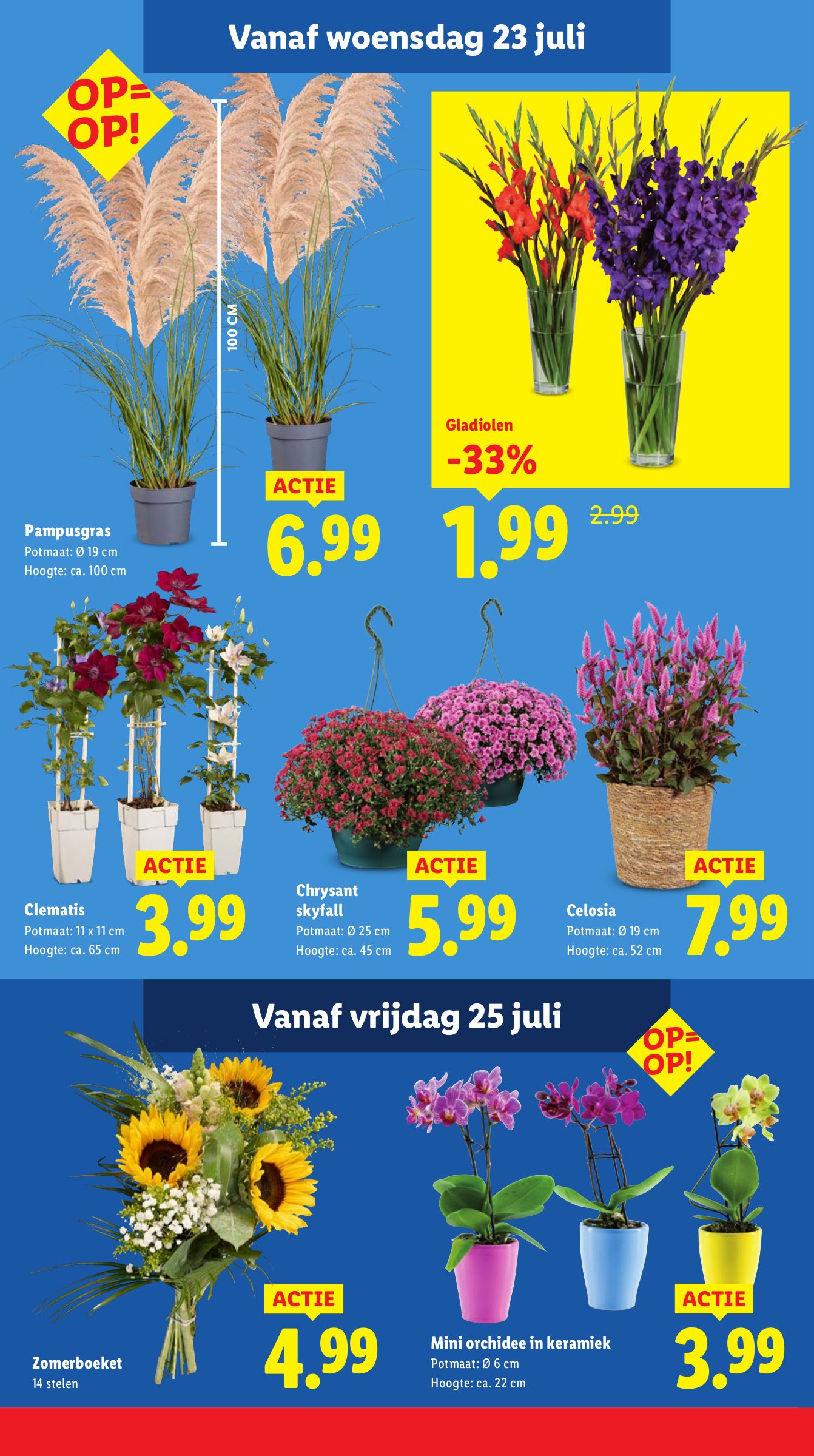 lidl - Lidl folder geldig vanaf 21-07 t/m 27-07 - page: 16 lidl - Lidl folder geldig vanaf 21-07 t/m 27-07 - page: 16