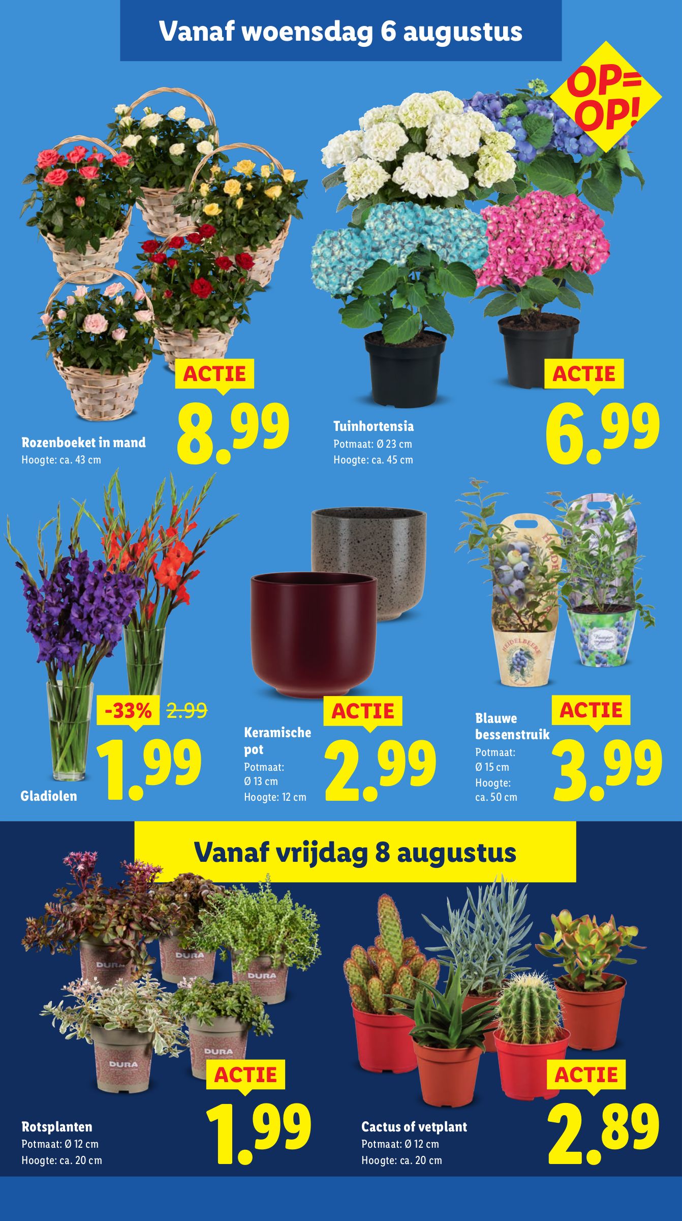 lidl - Lidl folder geldig vanaf 04-08 t/m 10-08 - page: 14 lidl - Lidl folder geldig vanaf 04-08 t/m 10-08 - page: 14
