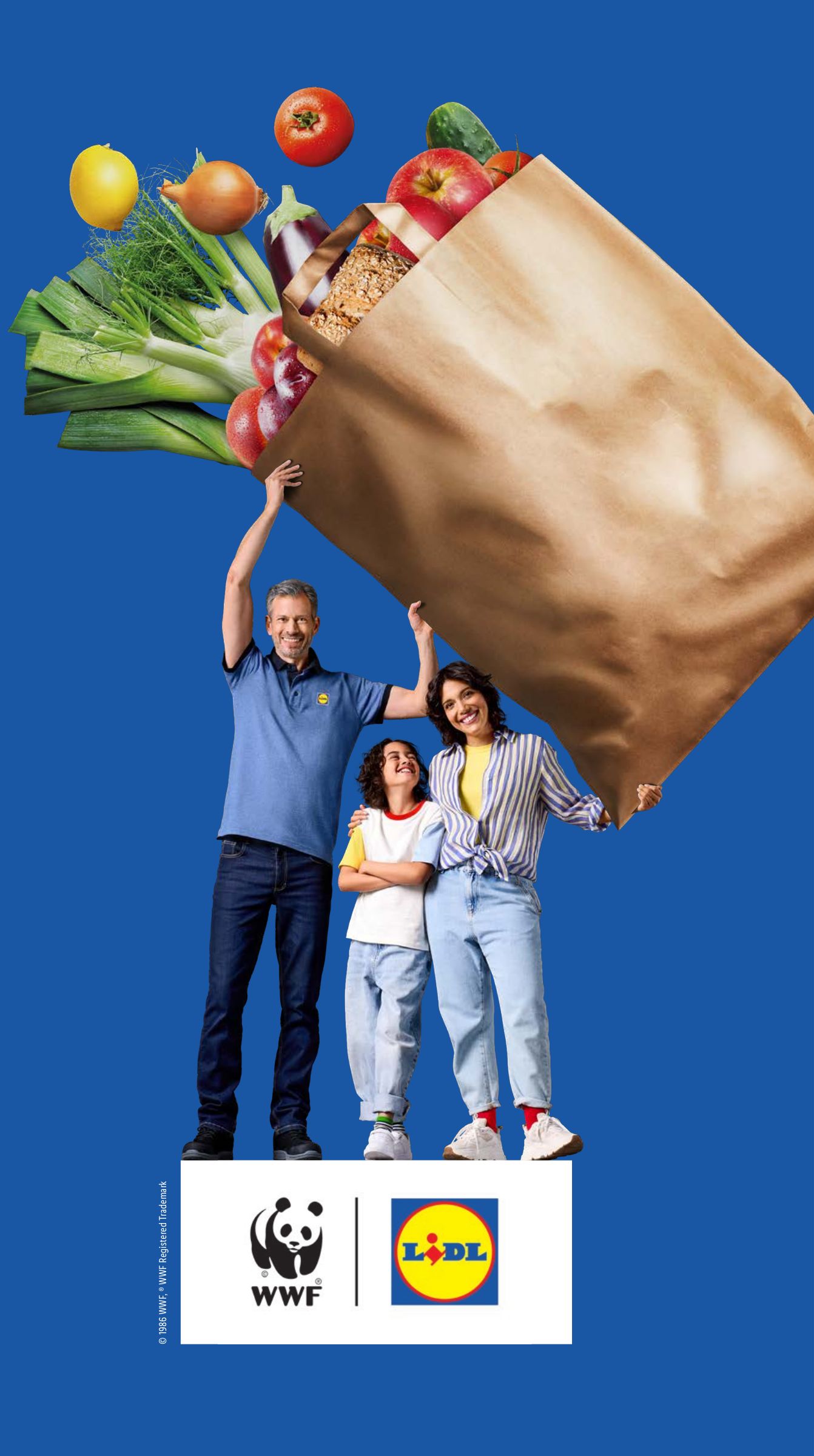 lidl - Lidl folder geldig vanaf 11-08 t/m 17-08 - page: 37 lidl - Lidl folder geldig vanaf 11-08 t/m 17-08 - page: 37