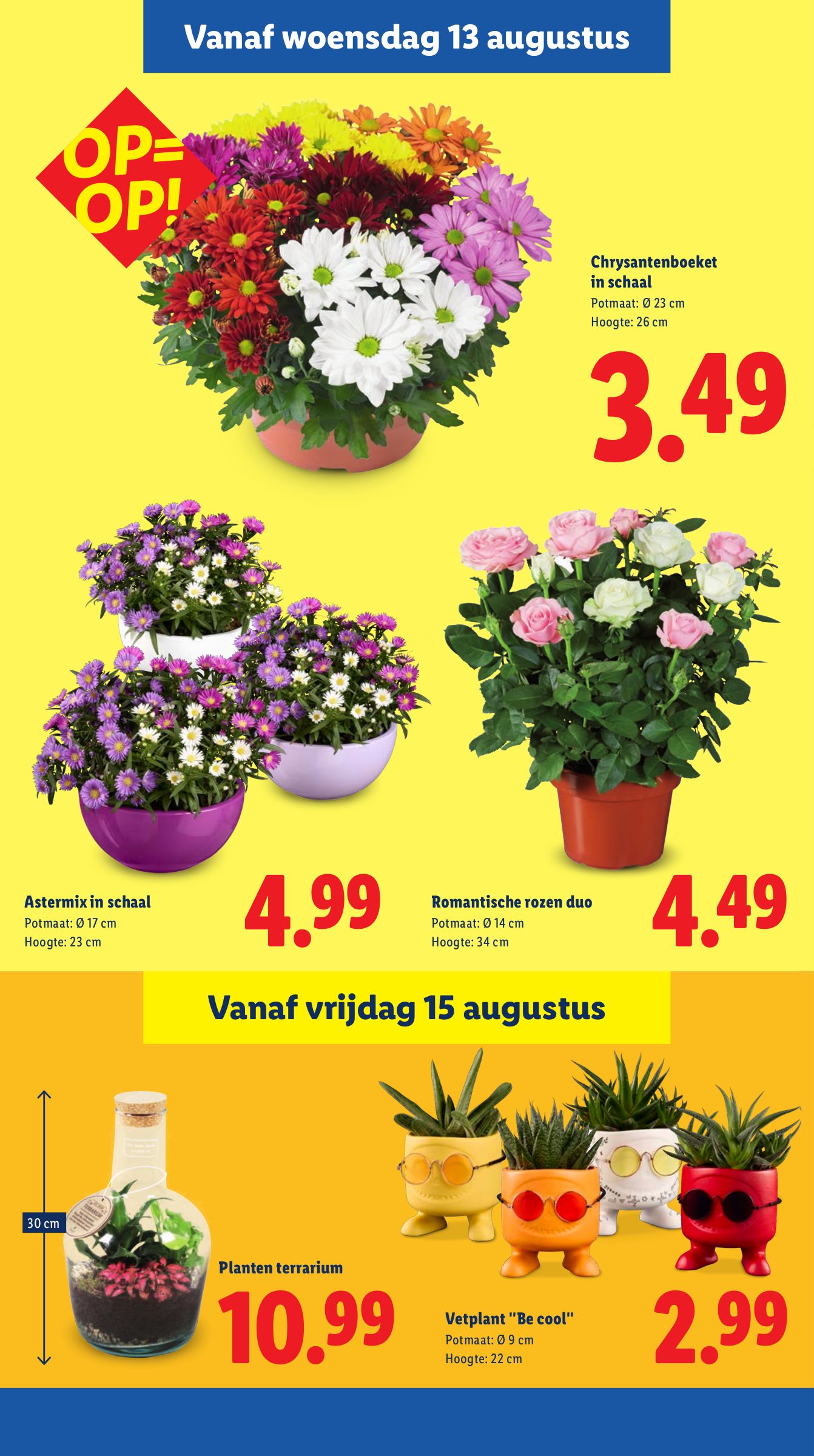 lidl - Lidl folder geldig vanaf 11-08 t/m 17-08 - page: 17 lidl - Lidl folder geldig vanaf 11-08 t/m 17-08 - page: 17