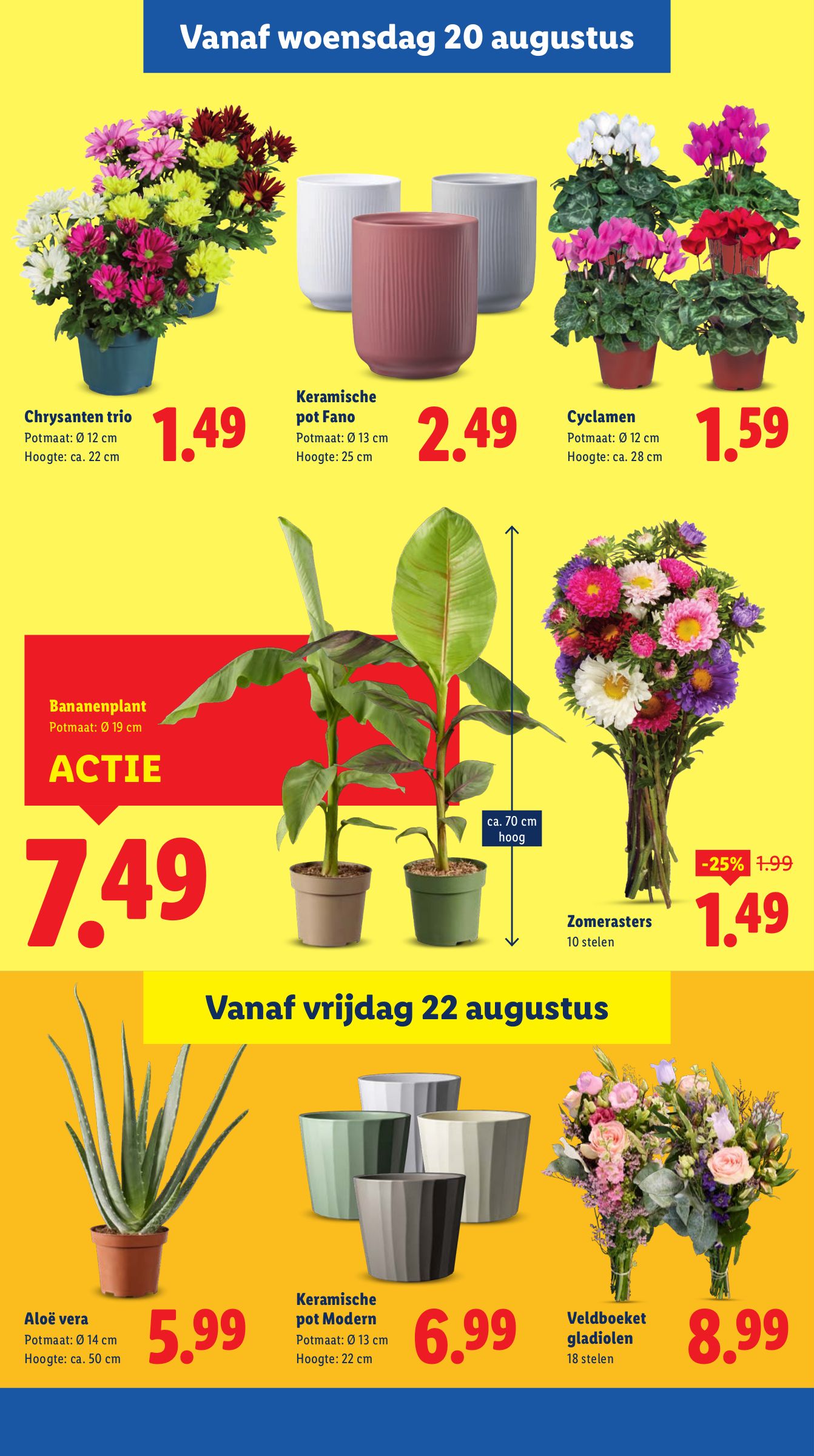lidl - Lidl folder geldig vanaf 18-08 t/m 24-08 - page: 16