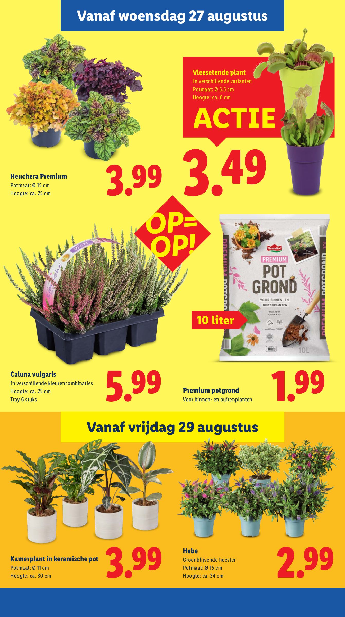 lidl - Lidl folder geldig vanaf 25-08 t/m 31-08 - page: 19