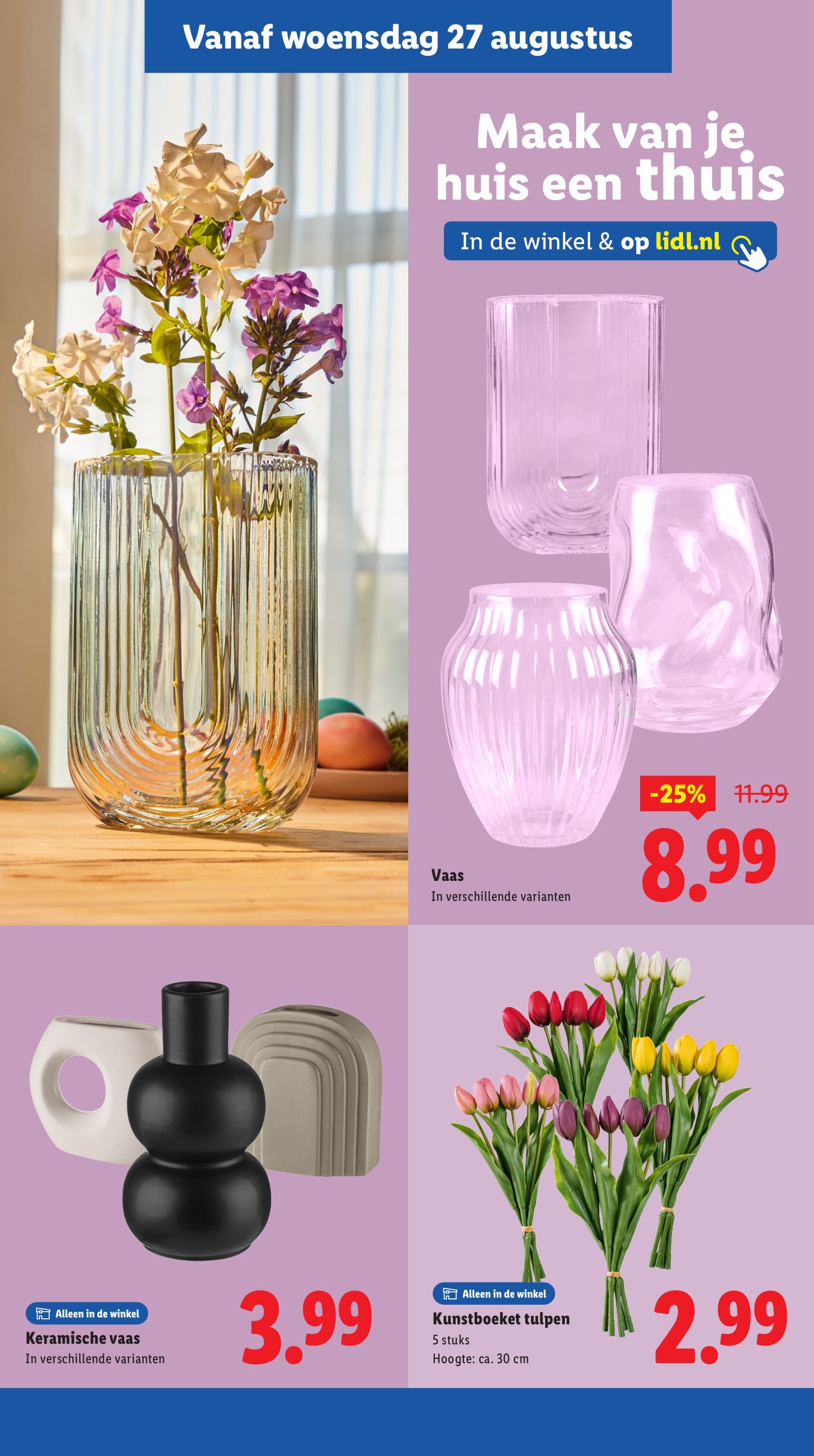 lidl - Lidl folder geldig vanaf 25-08 t/m 31-08 - page: 29
