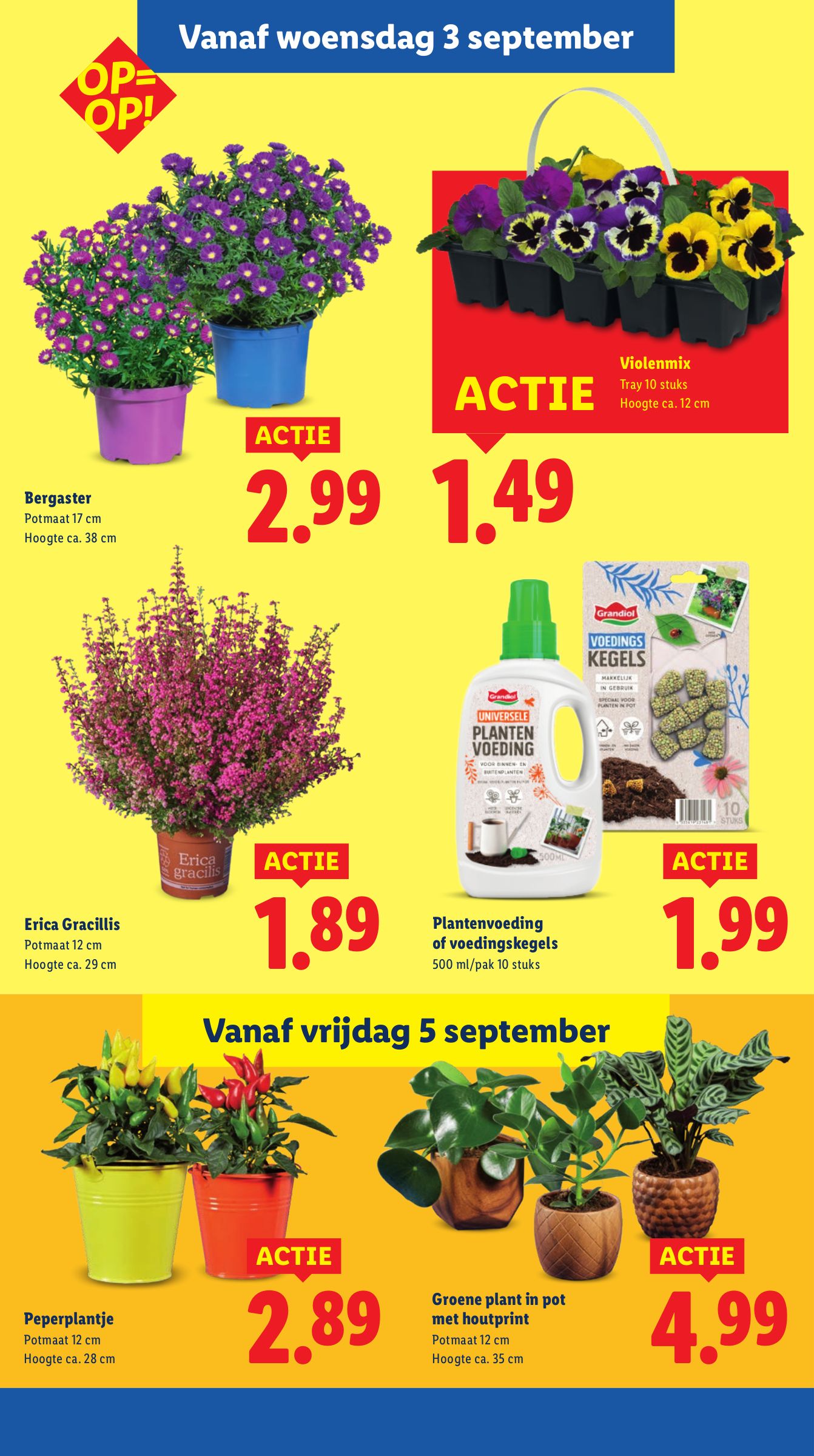 lidl - Lidl folder geldig vanaf 01-09 t/m 07-09 - page: 29 lidl - Lidl folder geldig vanaf 01-09 t/m 07-09 - page: 29