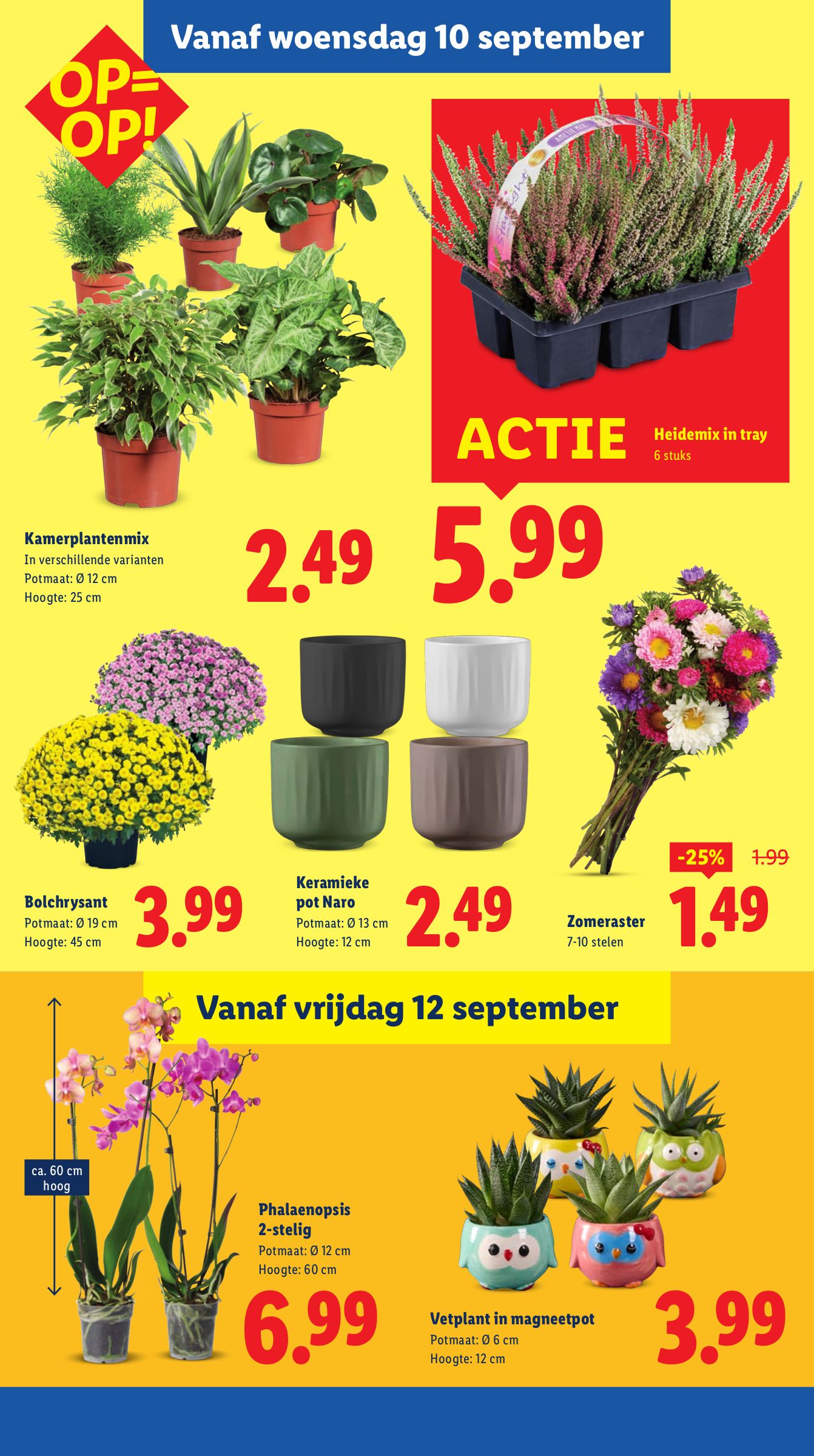 lidl - Lidl folder geldig vanaf 08-09 t/m 14-09 - page: 29 lidl - Lidl folder geldig vanaf 08-09 t/m 14-09 - page: 29