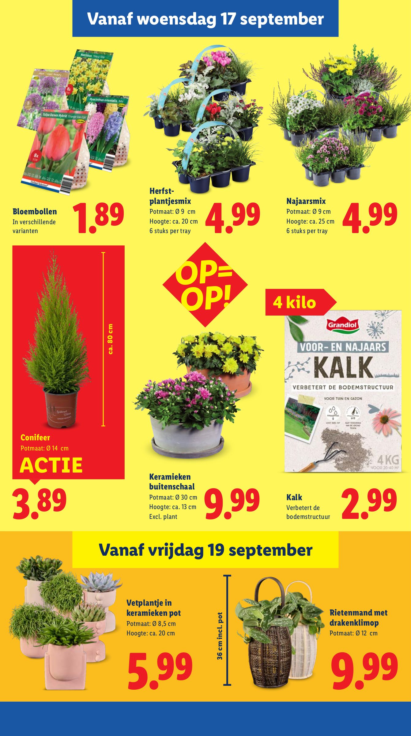lidl - Lidl folder geldig vanaf 15-09 t/m 21-09 - page: 31