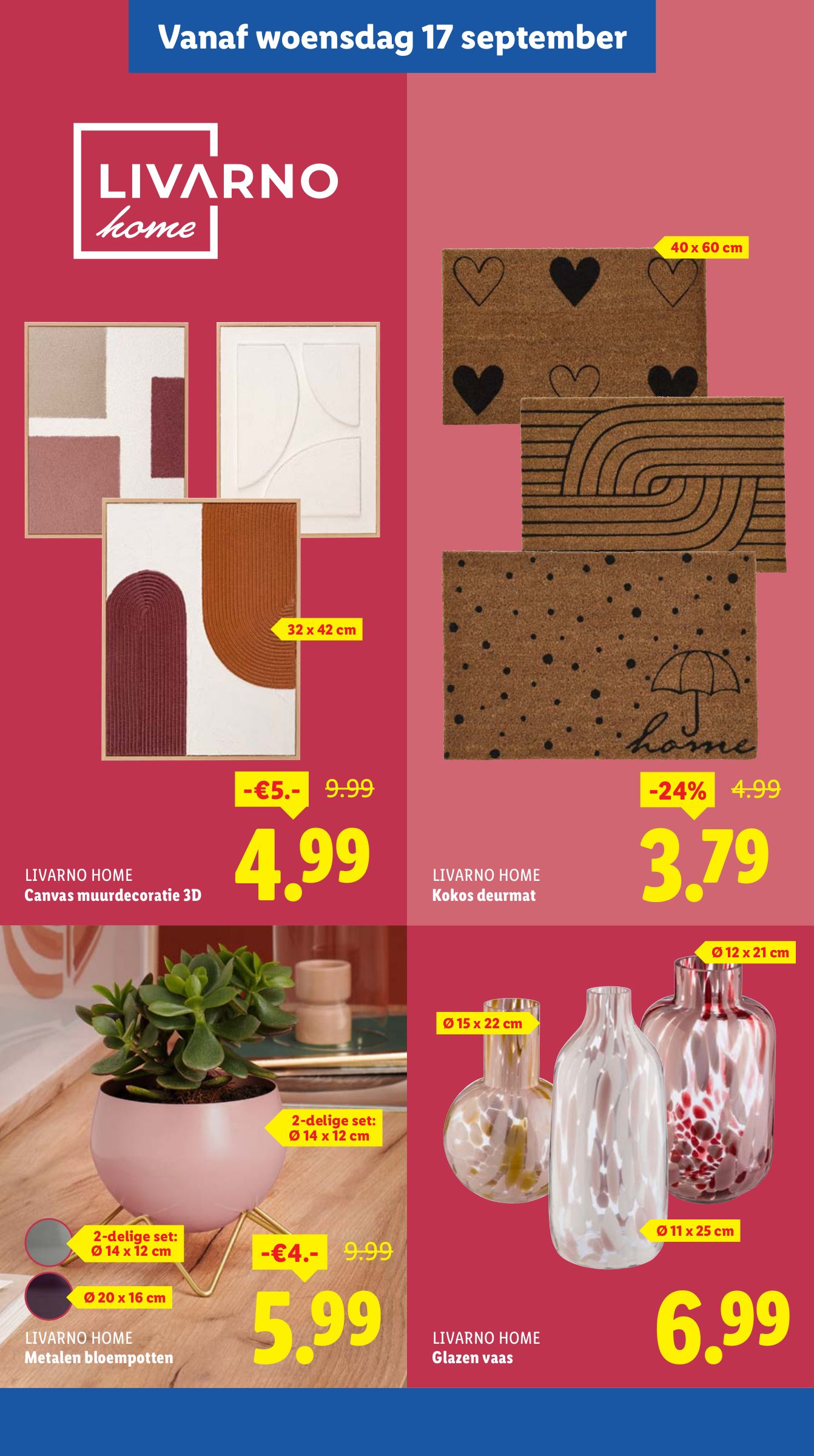 lidl - Lidl folder geldig vanaf 15-09 t/m 21-09 - page: 37