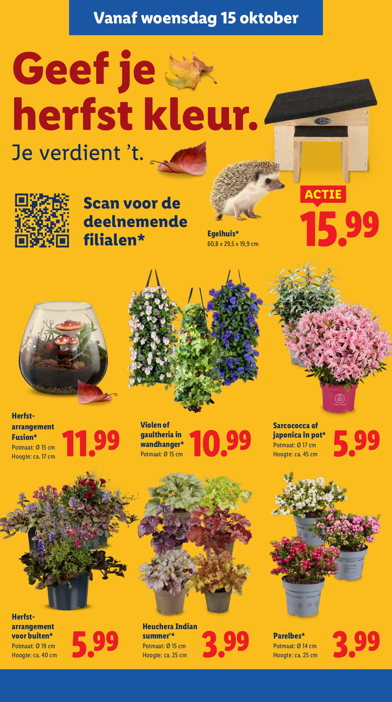 lidl - Lidl folder geldig vanaf 13-10 t/m 19-10 - page: 30