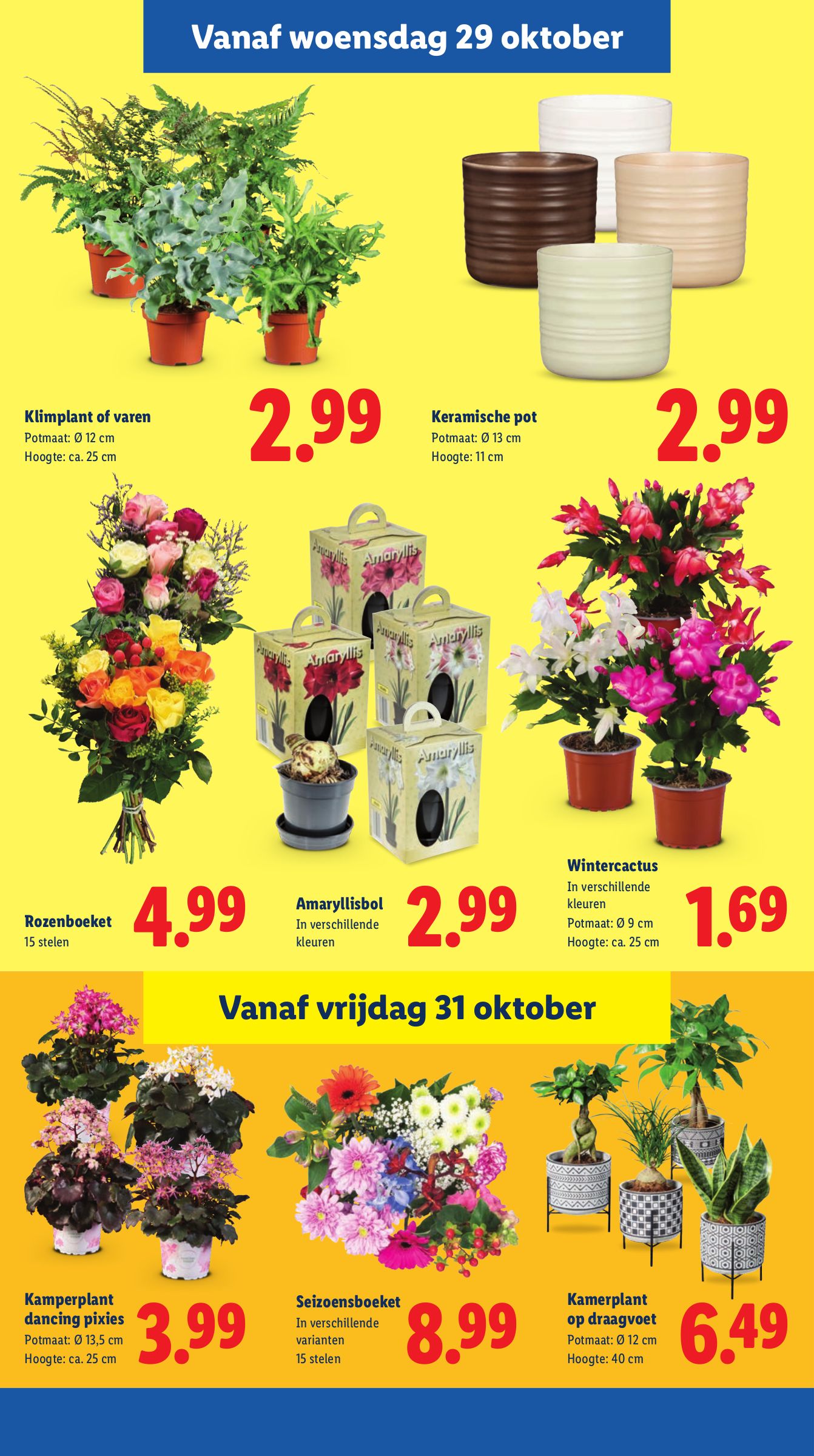 lidl - De Lidl folder geldig vanaf 27-10 t/m 02-11 - page: 21 lidl - De Lidl folder geldig vanaf 27-10 t/m 02-11 - page: 21