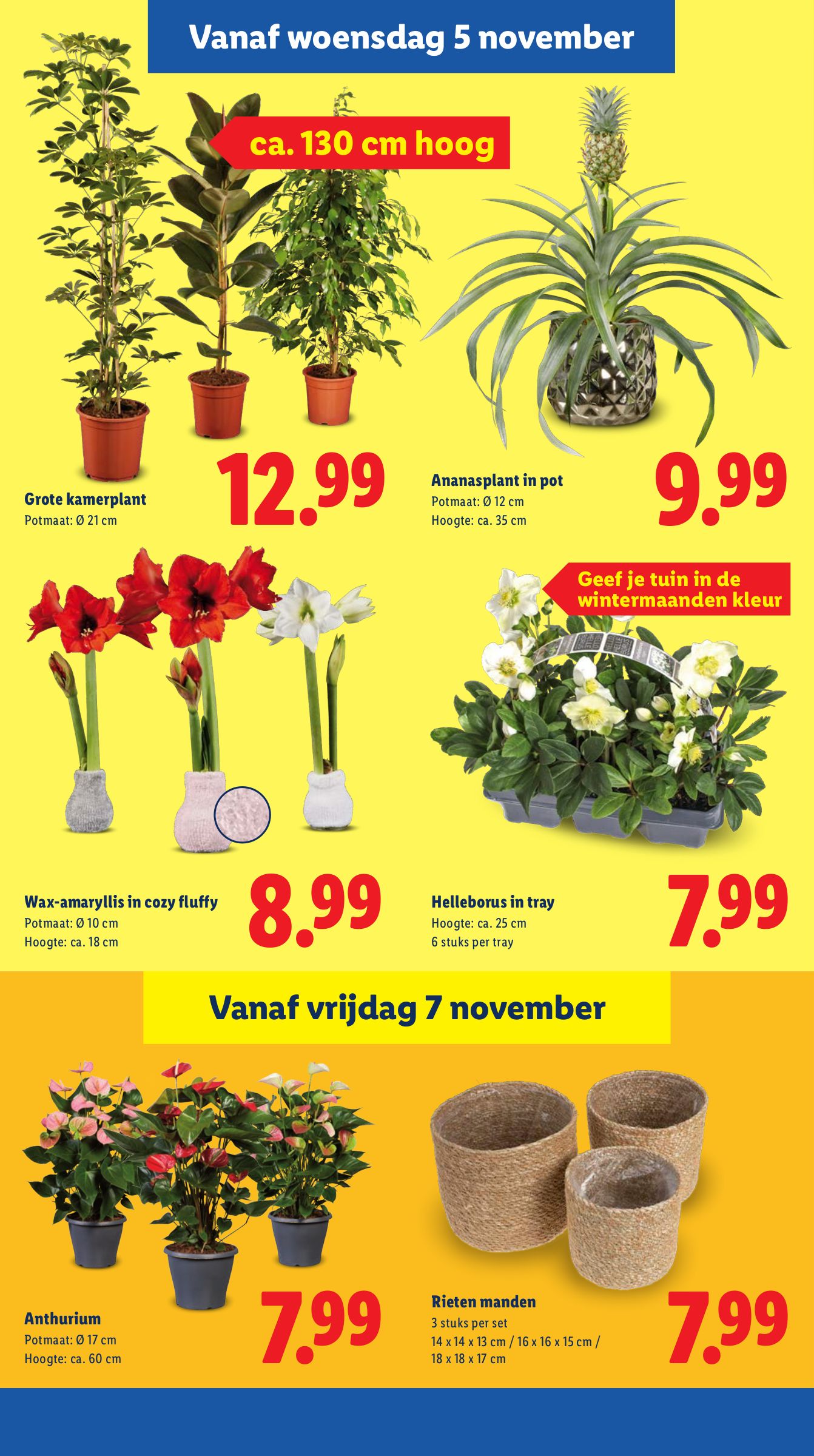 lidl - De Lidl folder geldig vanaf 03-11 t/m 09-11 - page: 21