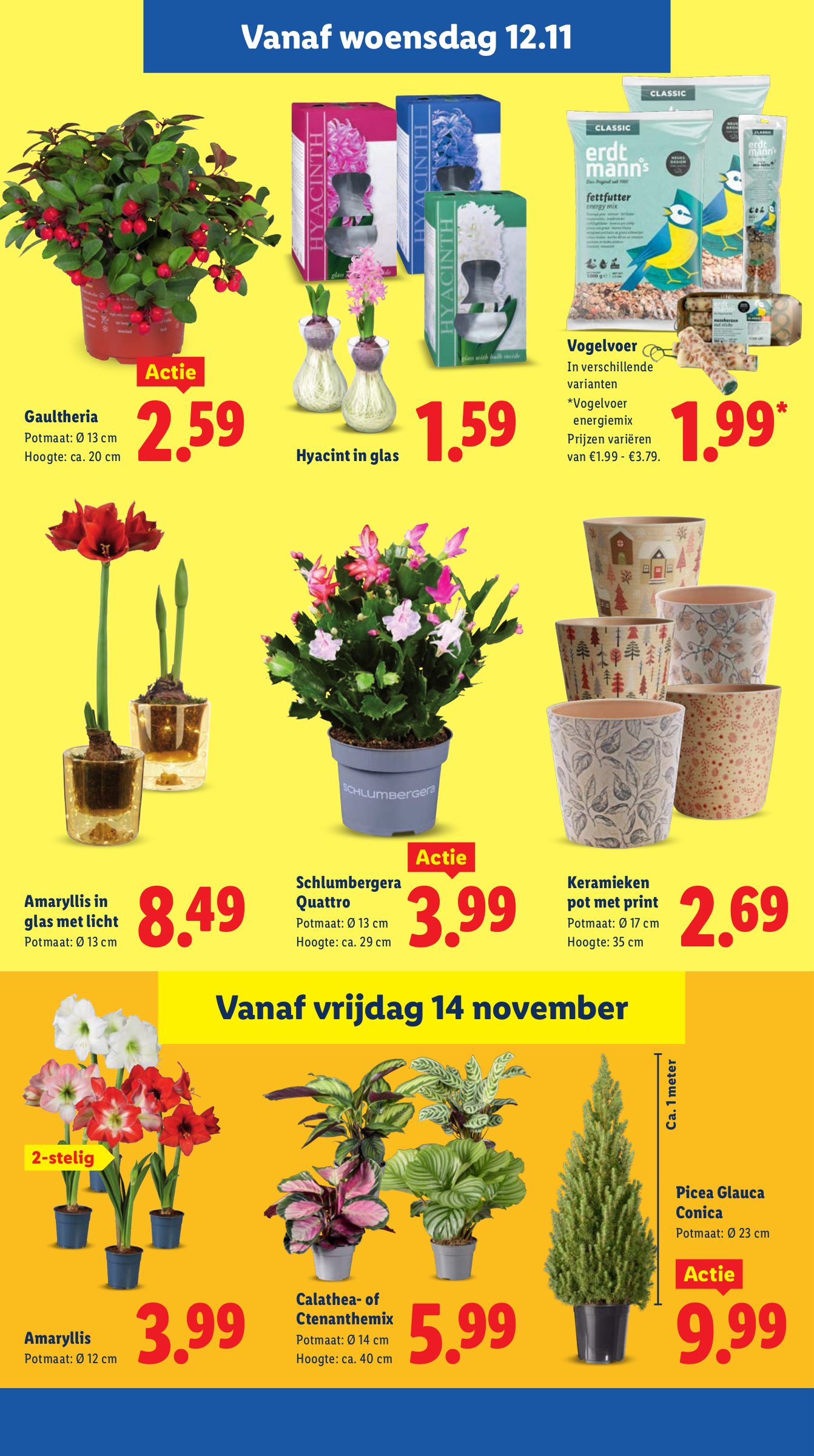 lidl - De Lidl folder geldig vanaf 10-11 t/m 16-11 - page: 20