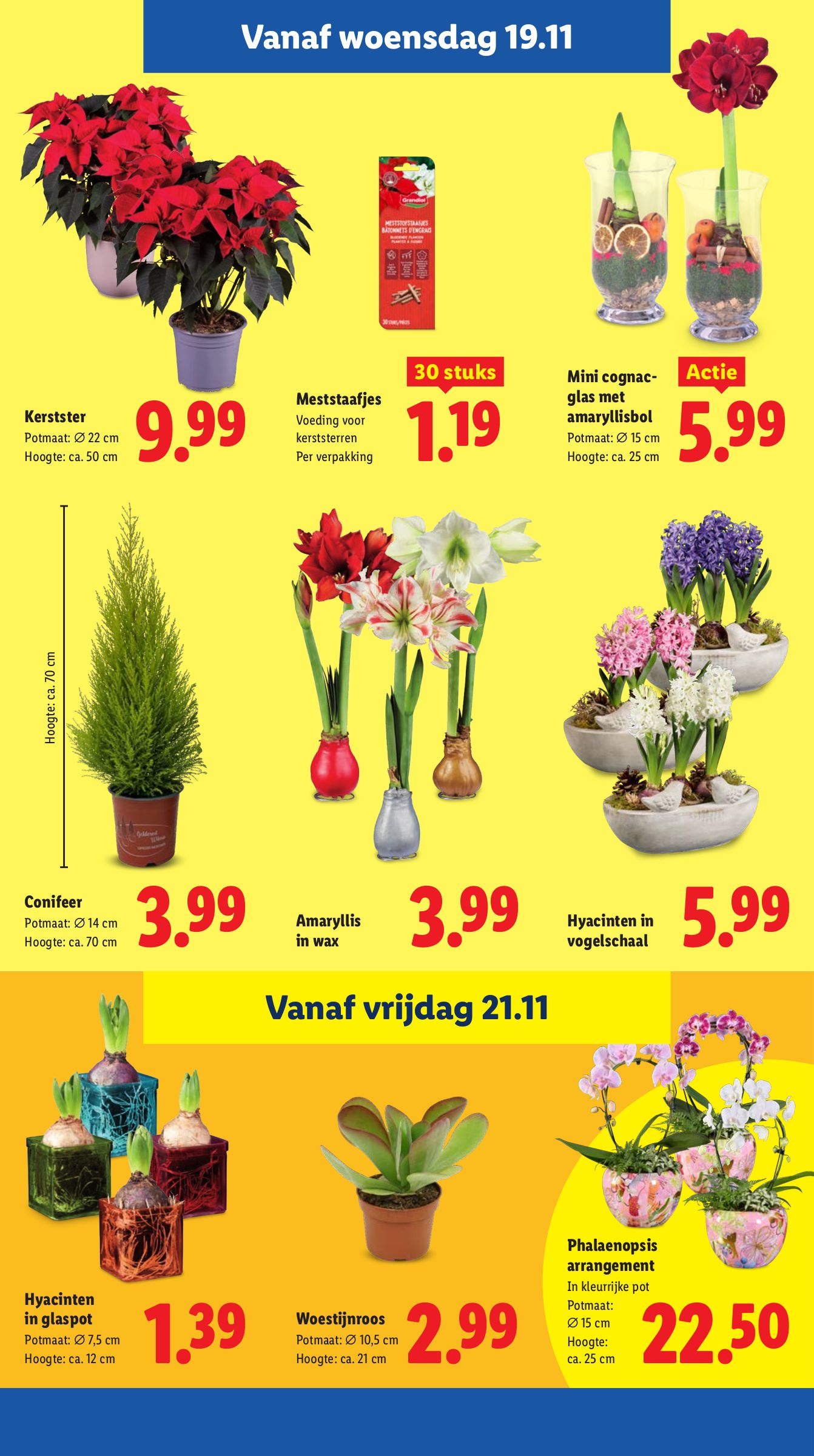 lidl - De Lidl folder geldig vanaf 17-11 t/m 23-11 - page: 17