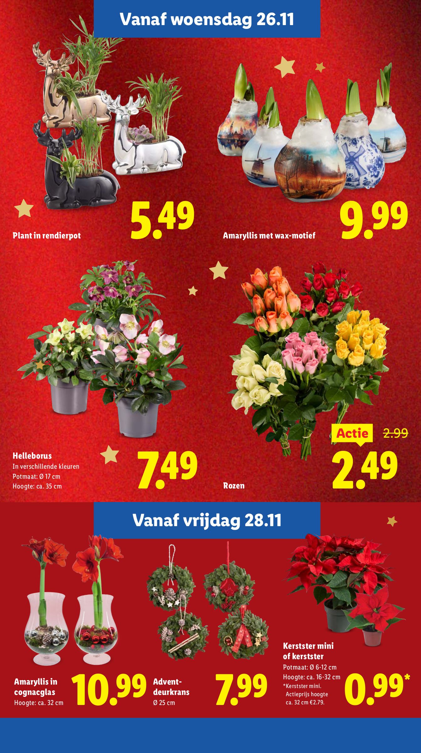 lidl - De Lidl folder geldig vanaf 24-11 t/m 30-11 - page: 29