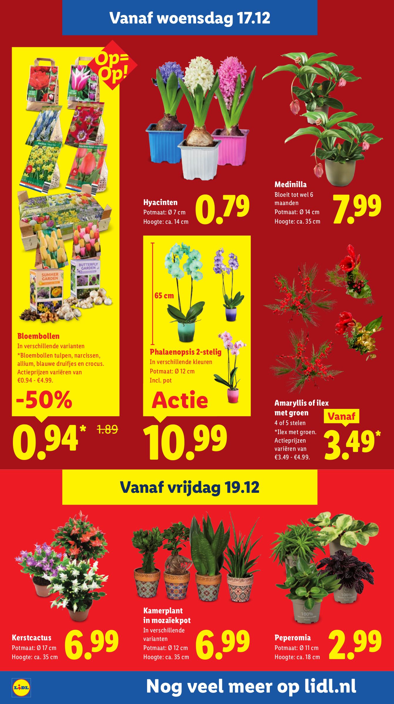 lidl - De Lidl folder geldig vanaf 15-12 t/m 21-12 - page: 24