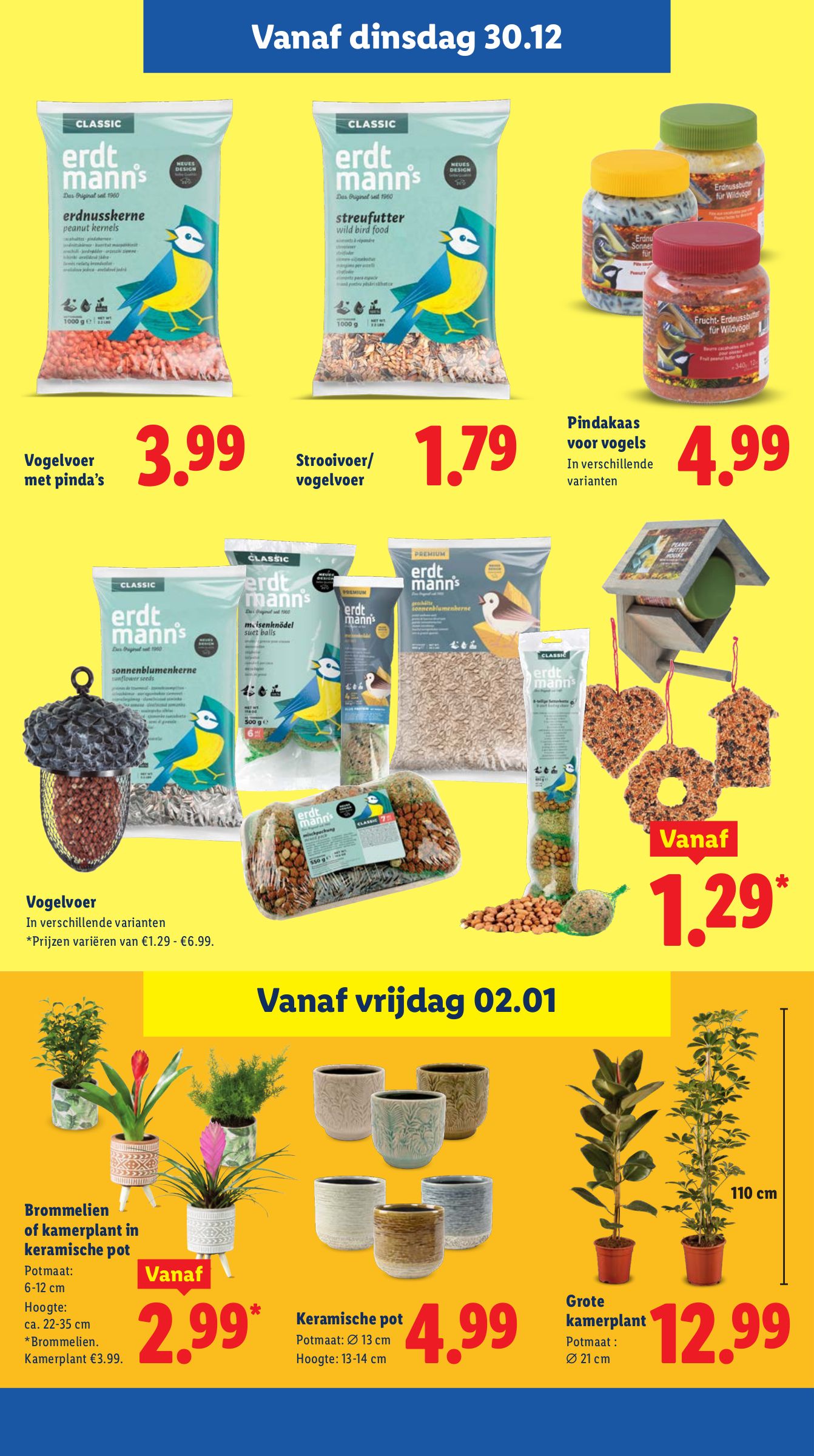 lidl - De Lidl folder geldig vanaf 29-12 t/m 04-01 - page: 19