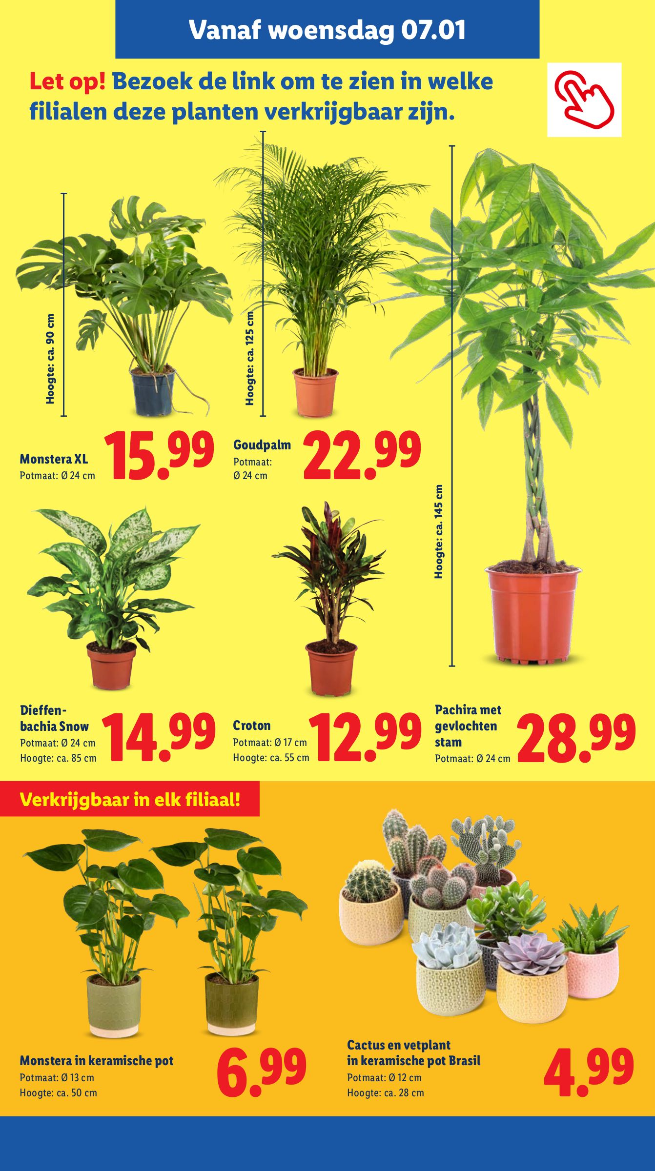 lidl - De Lidl folder geldig vanaf 05-01 t/m 11-01 - page: 17