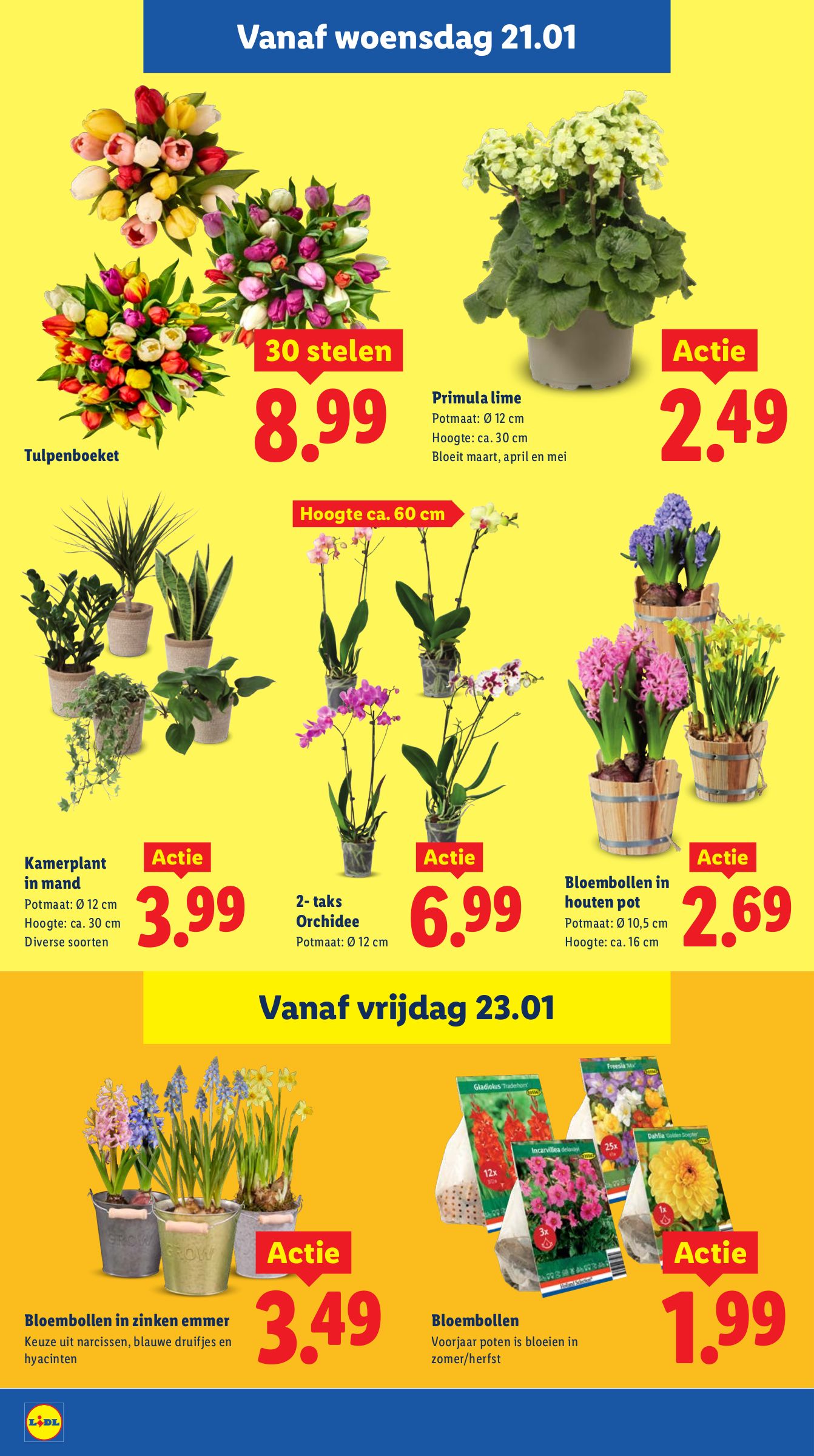 lidl - De Lidl folder geldig vanaf 19-01 t/m 25-01 - page: 22