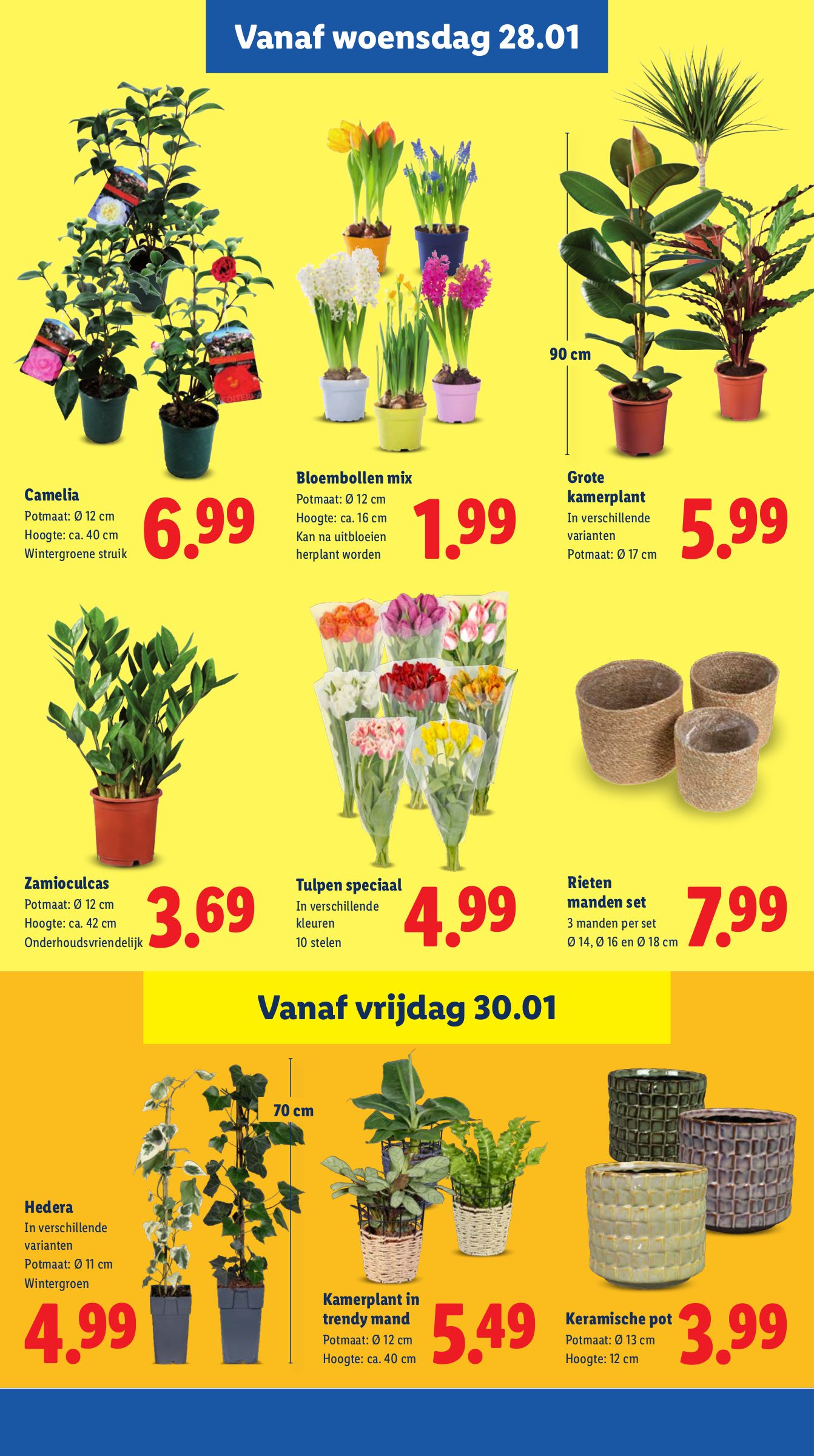 lidl - De Lidl folder geldig vanaf 26-01 t/m 01-02 - page: 20