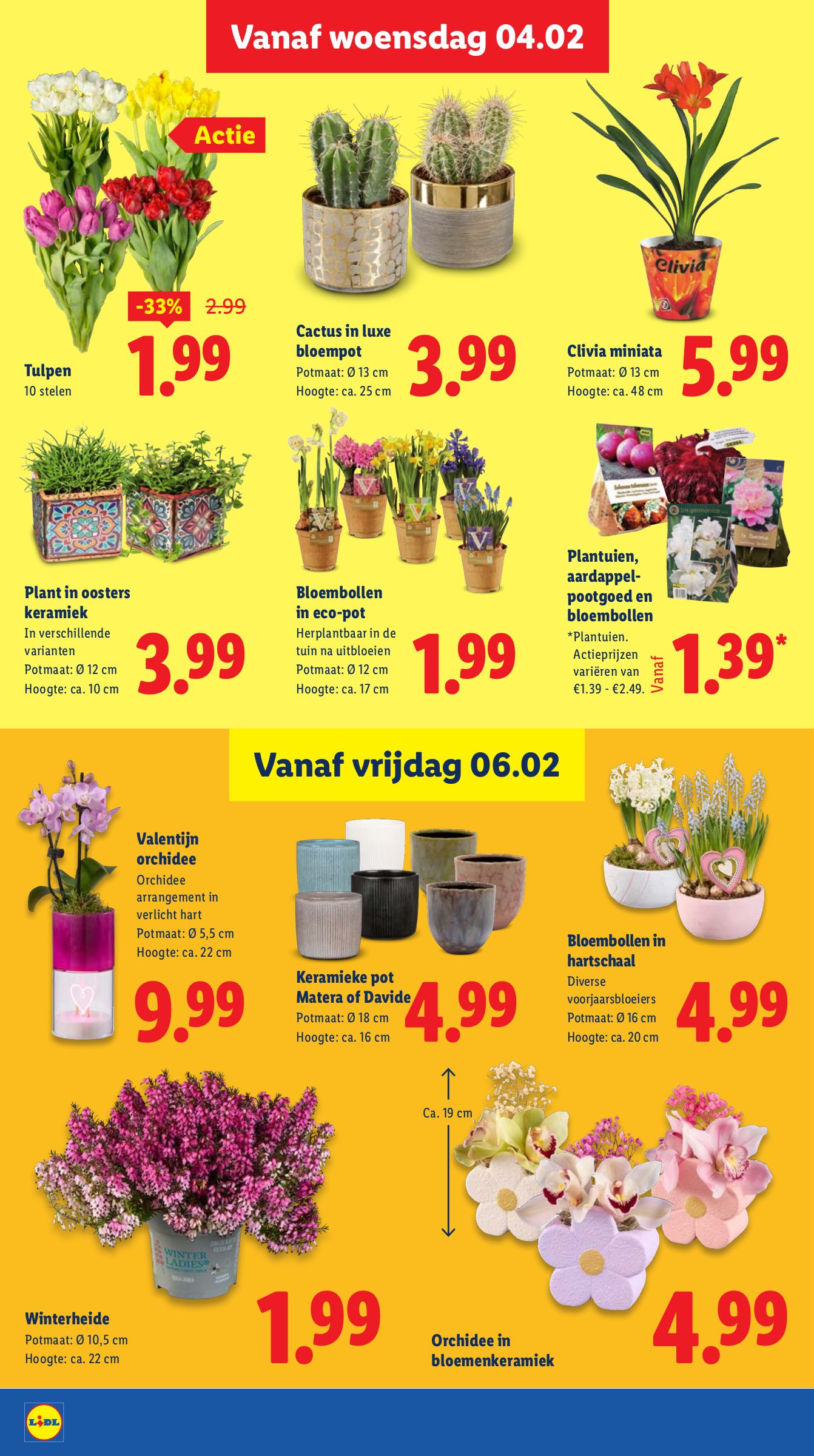 lidl - De Lidl folder geldig vanaf 02-02 t/m 08-02 - page: 17