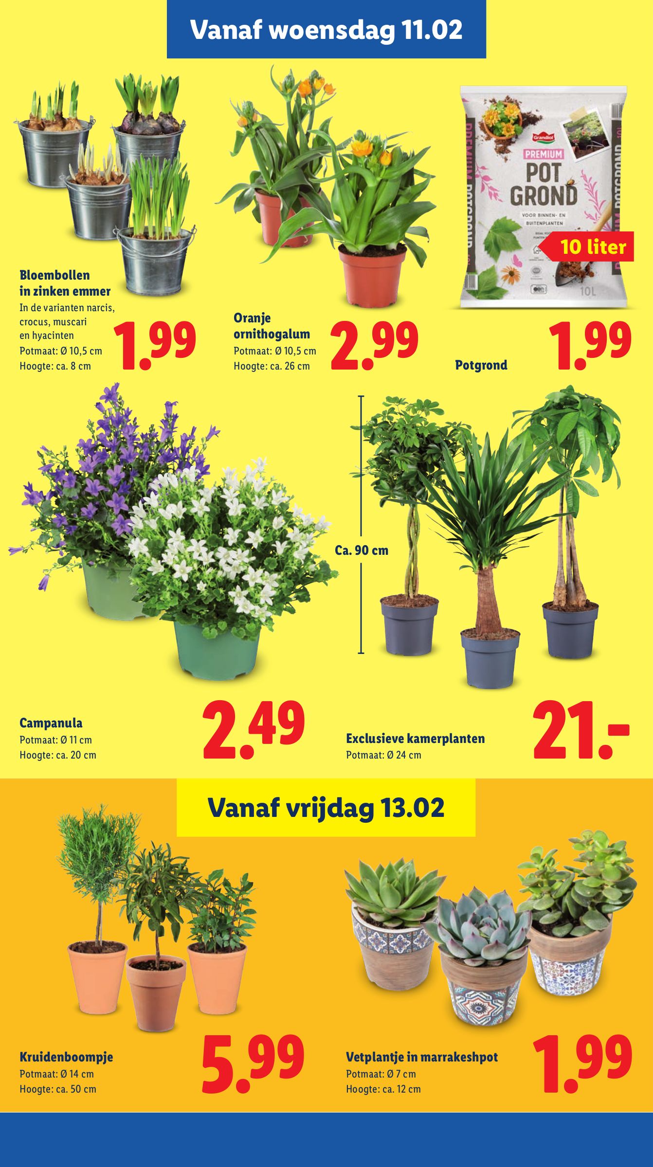 lidl - De Lidl folder geldig vanaf 09-02-2026 t/m 15-02-2026 - page: 15