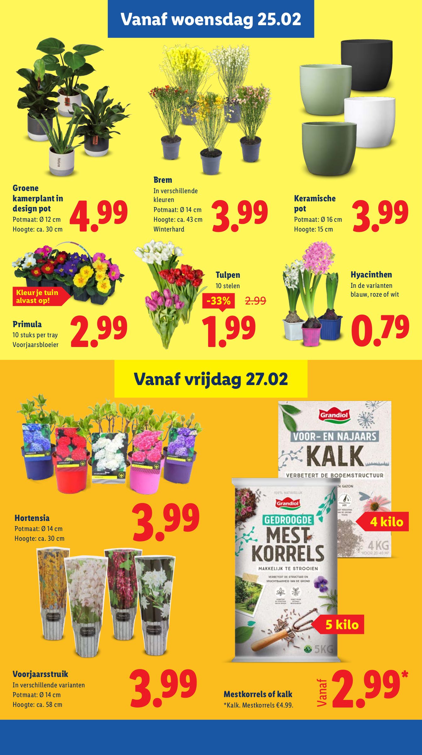 lidl - De Lidl folder geldig vanaf 23-02-2026 t/m 01-03-2026 - page: 17