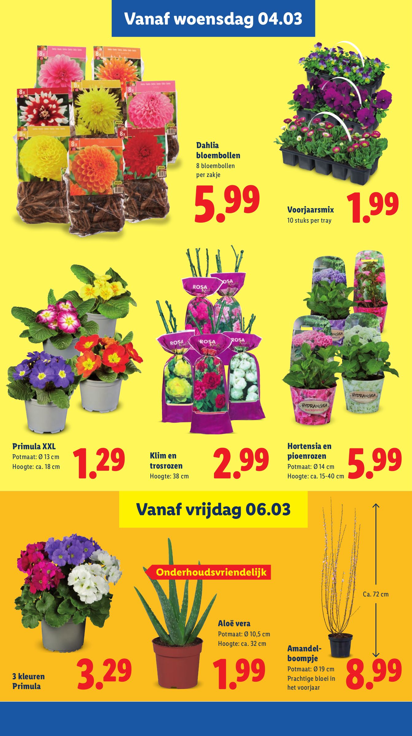 lidl - De Lidl folder geldig vanaf 02-03-2026 t/m 08-03-2026 - page: 24