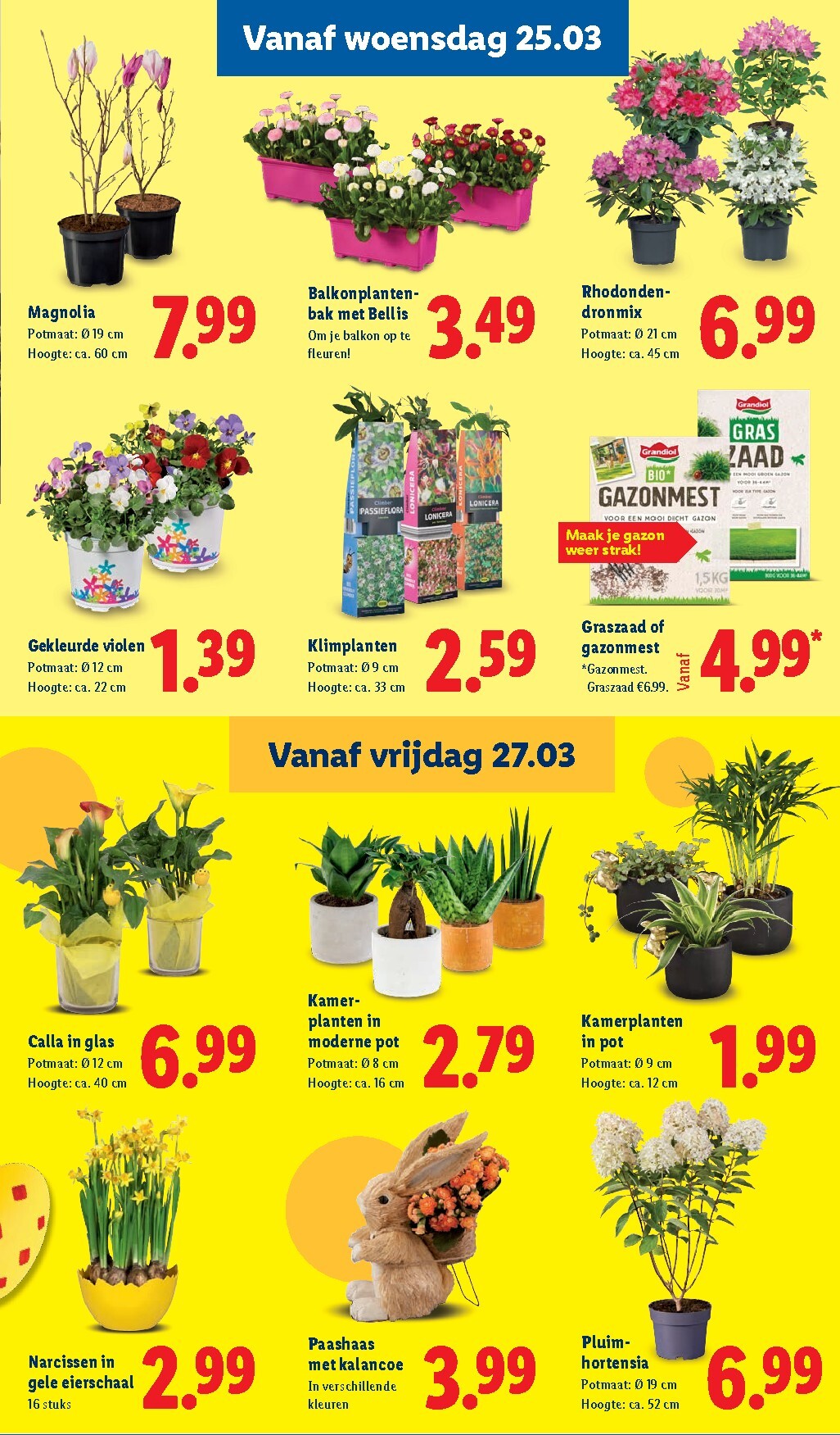 lidl - De Lidl folder geldig vanaf 23-03-2026 t/m 29-03-2026 - page: 38