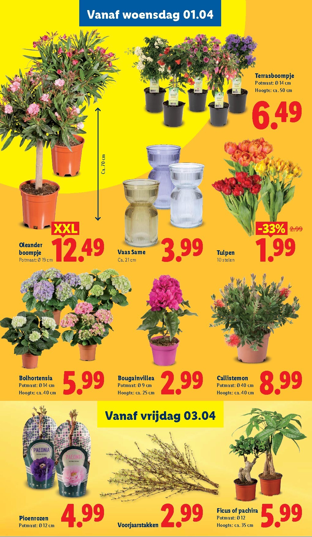 lidl - De Lidl folder geldig vanaf 30-03-2026 t/m 06-04-2026 - page: 40