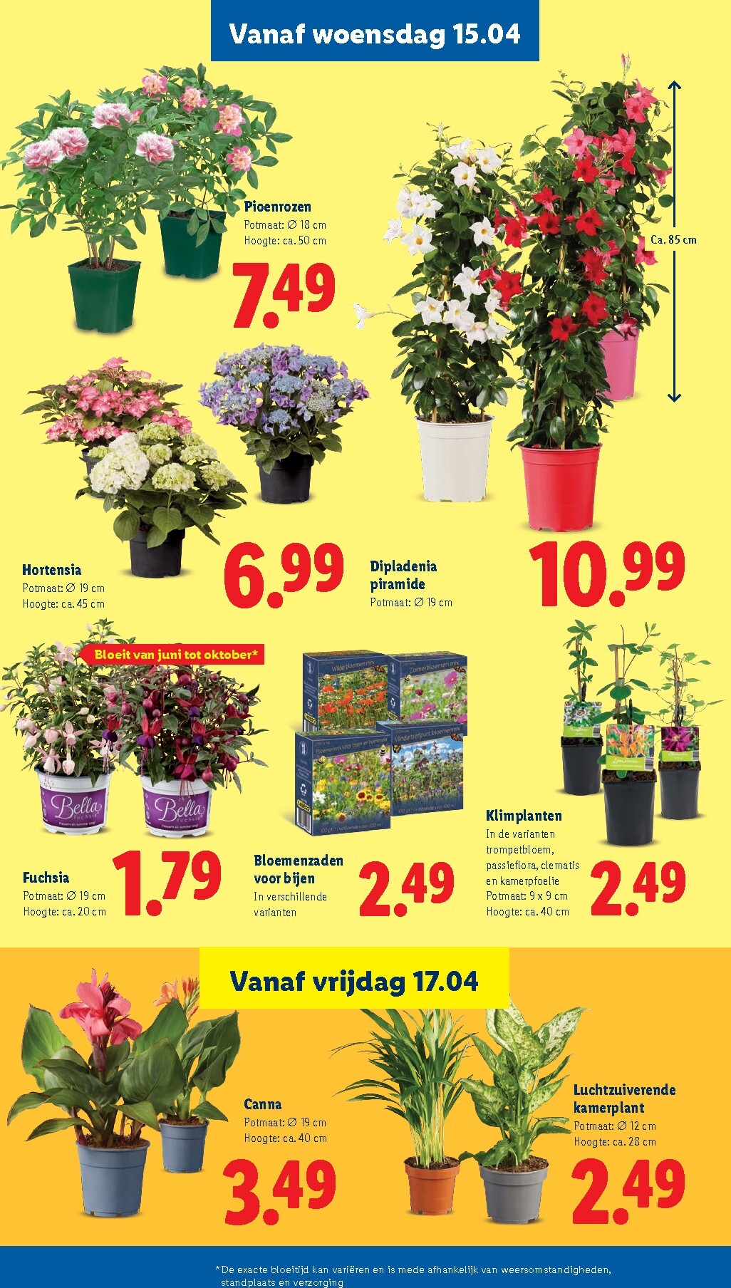 lidl - Lidl folder voor volgende week van maandag 13-04-2026 tot zondag 19-04-2026 - page: 24