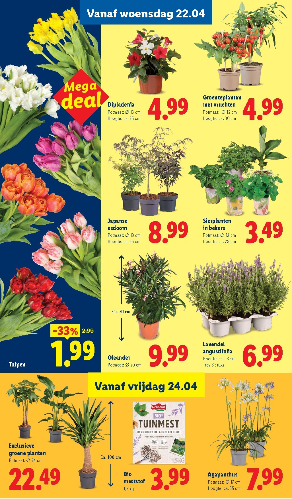 lidl - Lidl folder voor volgende week van maandag 20-04-2026 tot zondag 26-04-2026 - page: 23