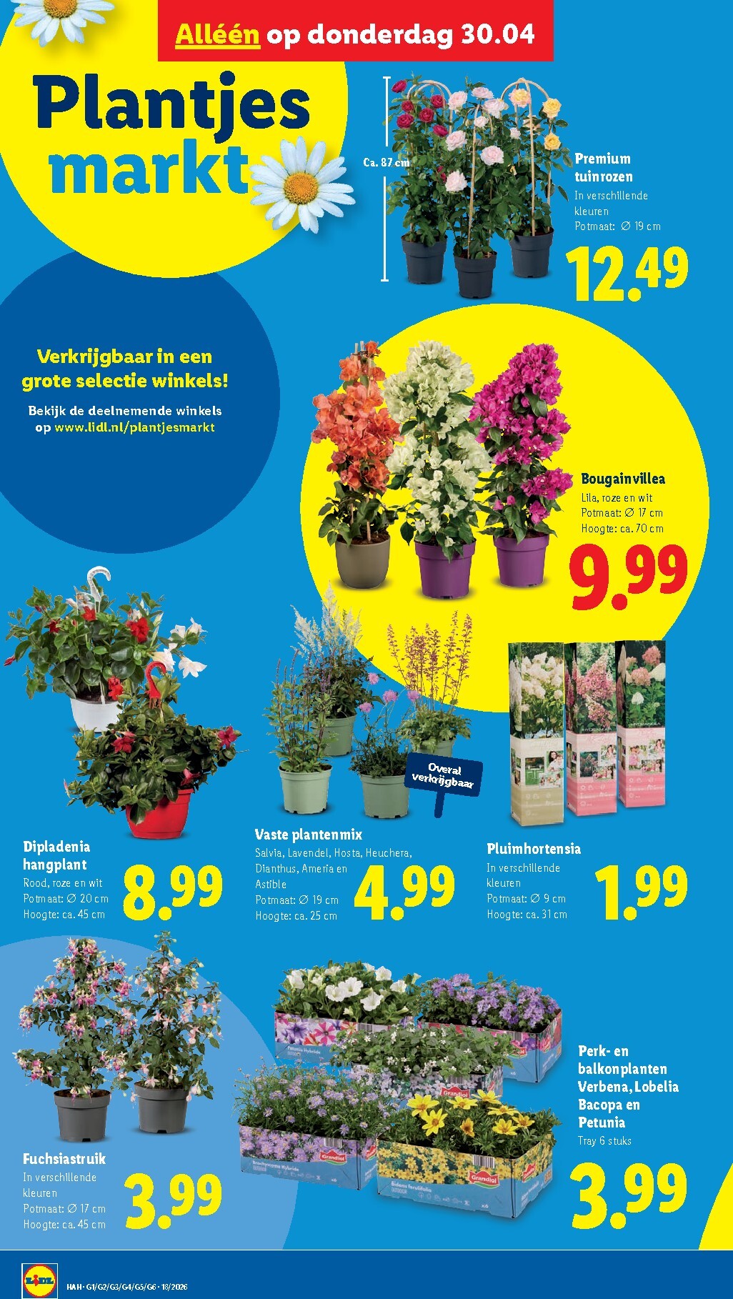 lidl - Lidl folder voor volgende week van maandag 27-04-2026 tot zondag 03-05-2026 - page: 28