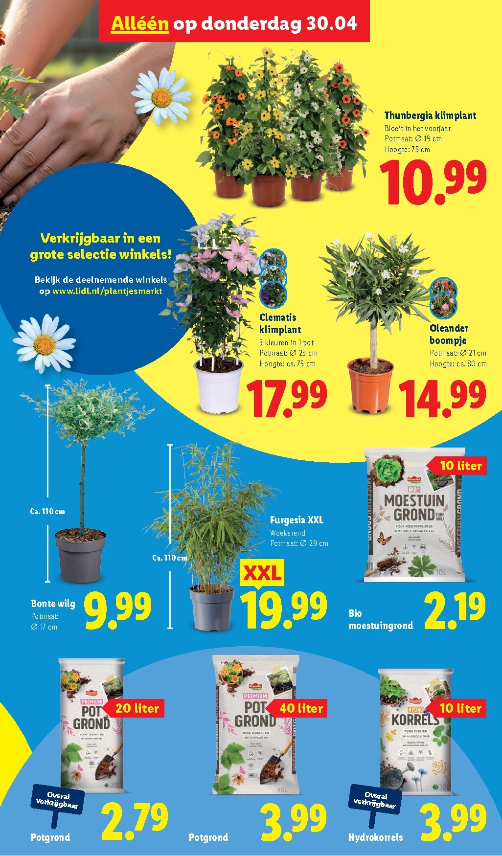 lidl - Lidl folder voor volgende week van maandag 27-04-2026 tot zondag 03-05-2026 - page: 27