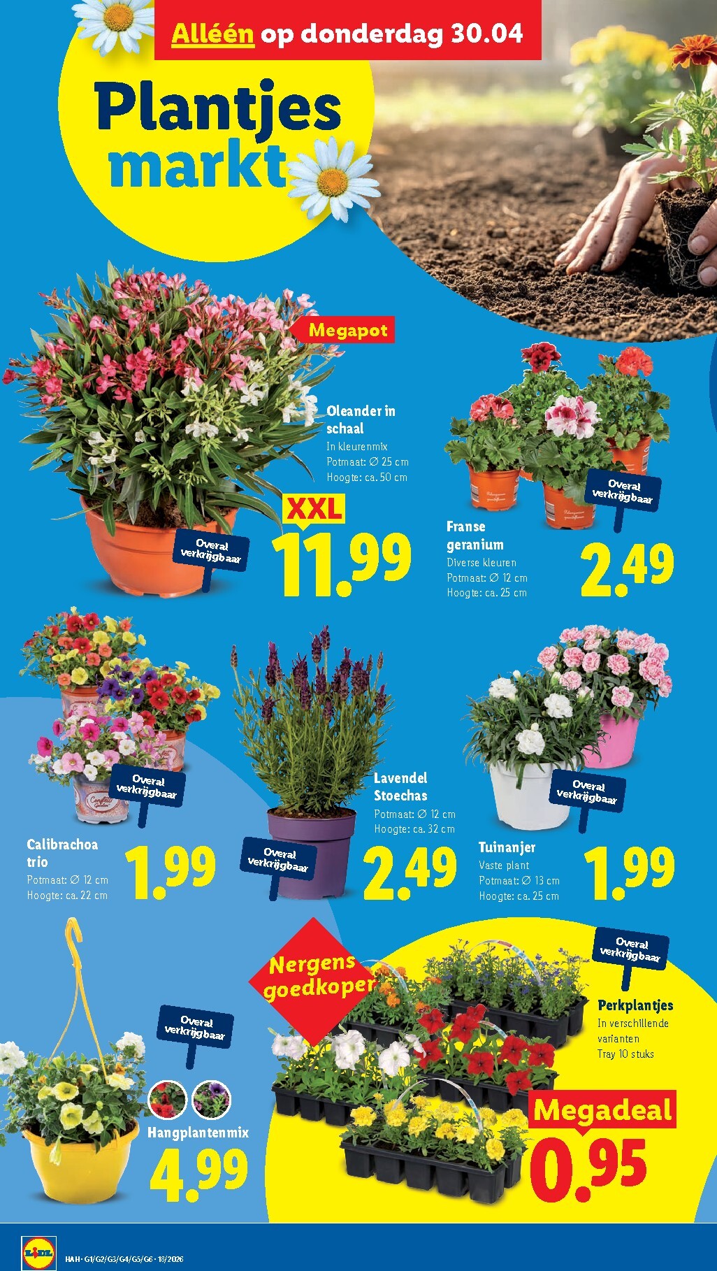 lidl - Lidl folder voor volgende week van maandag 27-04-2026 tot zondag 03-05-2026 - page: 26