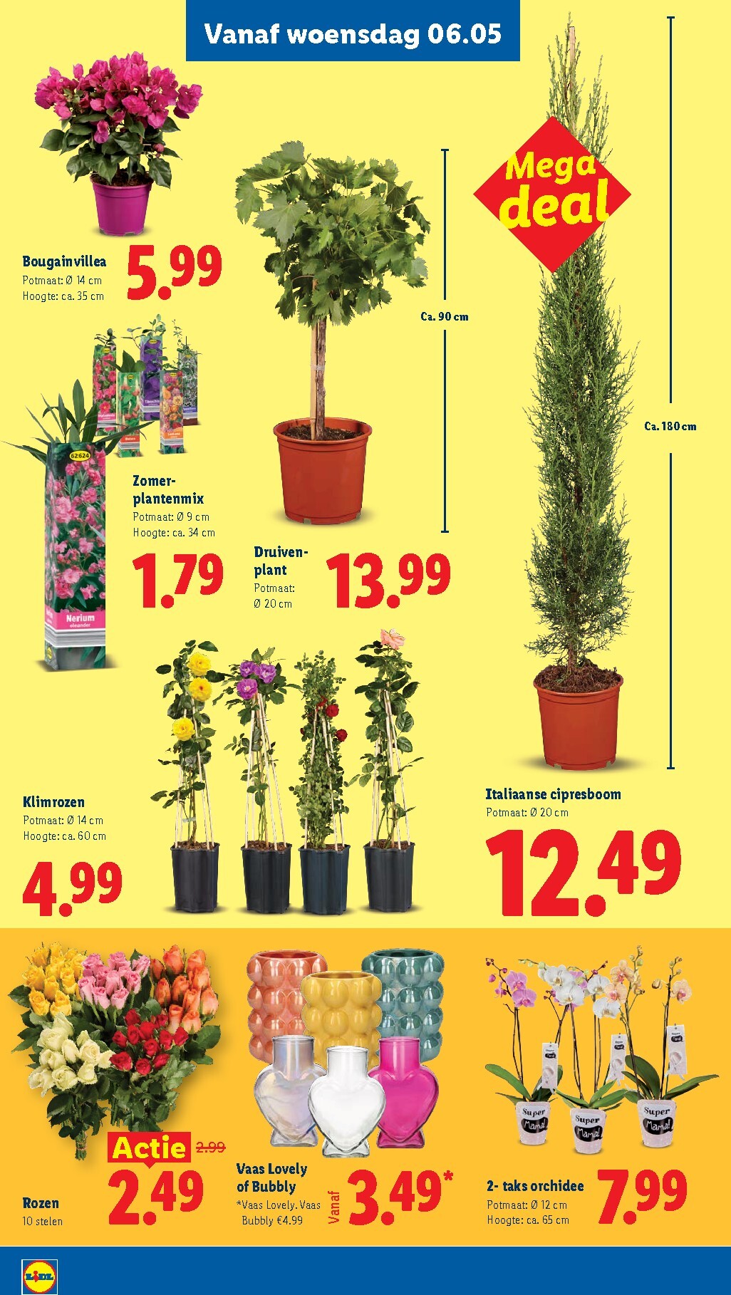 lidl - Lidl folder voor volgende week van maandag 04-05-2026 tot zondag 10-05-2026 - page: 25